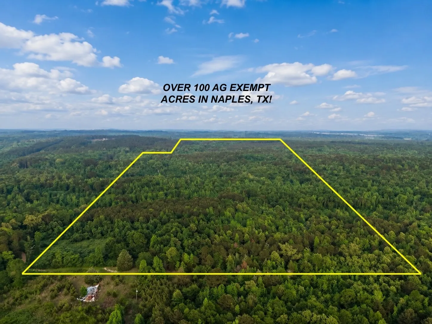 Unimproved Land For Sale in Cass County , TBD County Road 2742, Naples, Texas 75568, 0, 0, Garage spaces, 0 Sqft, built in 0, Price $499,000, mls#21171956, Real Estate Agent in Naples, Homes For Sale in Cass county, Homes For Sale in Naples, Realtor in Naples Texas, Real Estate Brokerage Independent Realty Texas, Luminita Cordes Realtor