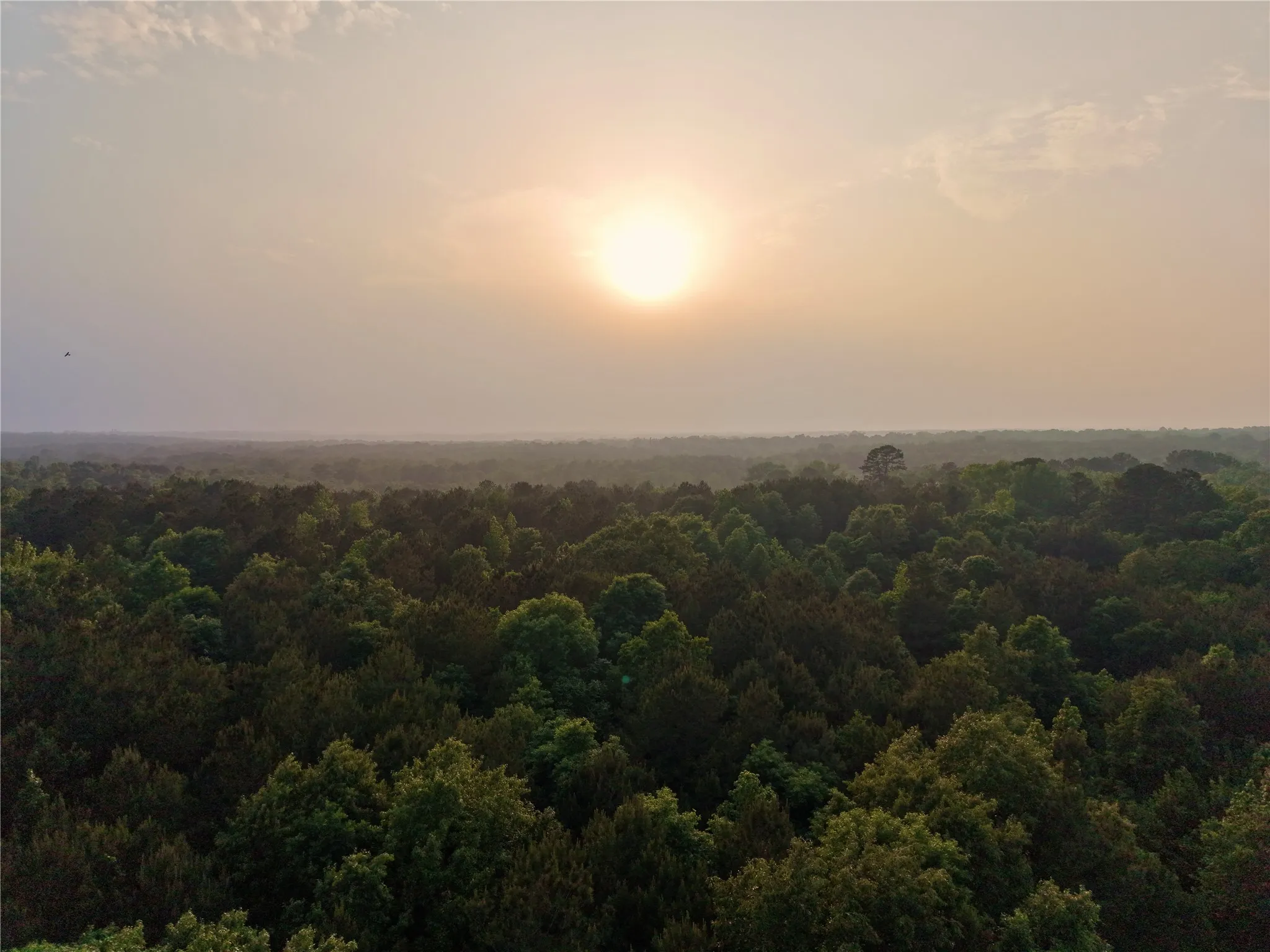 Unimproved Land For Sale in Cass County , TBD County Road 2742, Naples, Texas 75568, 0, 0, Garage spaces, 0 Sqft, built in 0, Price $499,000, mls#21171956, Real Estate Agent in Naples, Homes For Sale in Cass county, Homes For Sale in Naples, Realtor in Naples Texas, Real Estate Brokerage Independent Realty Texas, Luminita Cordes Realtor