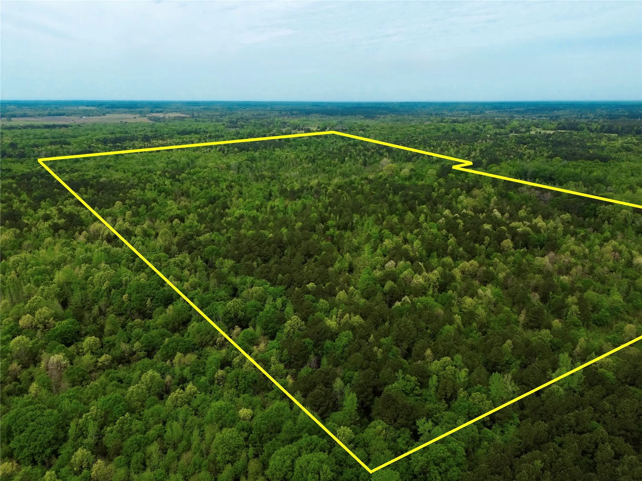 Unimproved Land For Sale in Cass County , TBD County Road 2742, Naples, Texas 75568, 0, 0, Garage spaces, 0 Sqft, built in 0, Price $499,000, mls#21171956, Real Estate Agent in Naples, Homes For Sale in Cass county, Homes For Sale in Naples, Realtor in Naples Texas, Real Estate Brokerage Independent Realty Texas, Luminita Cordes Realtor