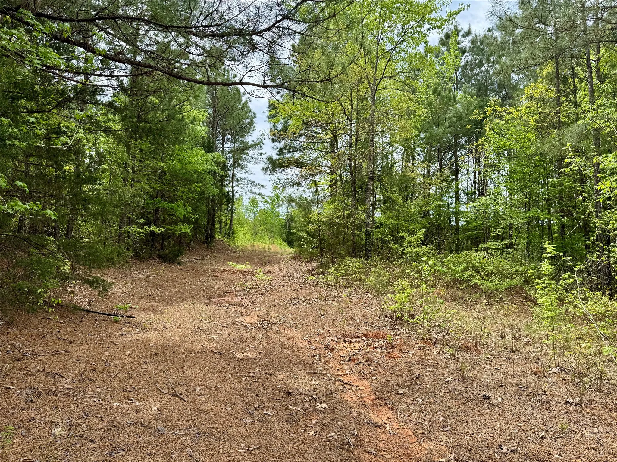 Unimproved Land For Sale in Cass County , TBD County Road 2742, Naples, Texas 75568, 0, 0, Garage spaces, 0 Sqft, built in 0, Price $499,000, mls#21171956, Real Estate Agent in Naples, Homes For Sale in Cass county, Homes For Sale in Naples, Realtor in Naples Texas, Real Estate Brokerage Independent Realty Texas, Luminita Cordes Realtor