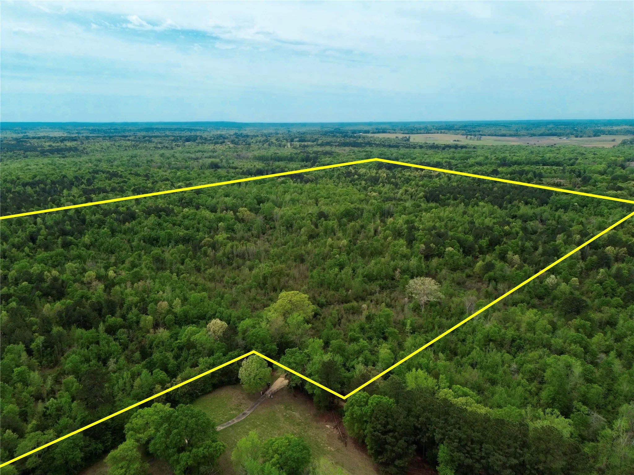 Unimproved Land For Sale in Cass County , TBD County Road 2742, Naples, Texas 75568, 0, 0, Garage spaces, 0 Sqft, built in 0, Price $499,000, mls#21171956, Real Estate Agent in Naples, Homes For Sale in Cass county, Homes For Sale in Naples, Realtor in Naples Texas, Real Estate Brokerage Independent Realty Texas, Luminita Cordes Realtor