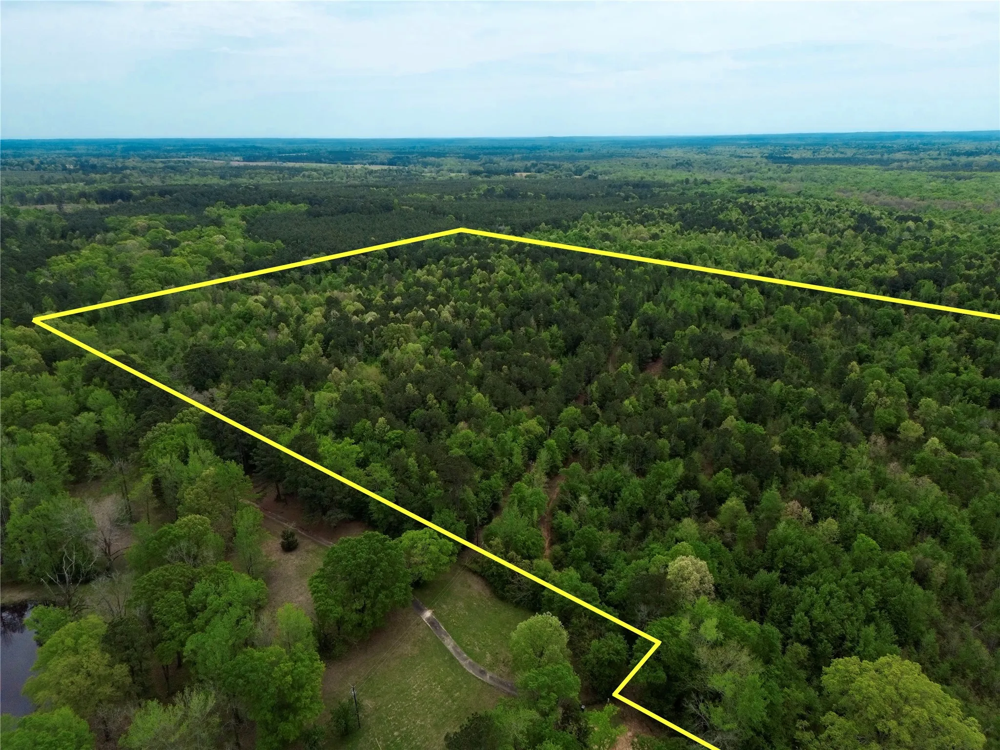 Unimproved Land For Sale in Cass County , TBD County Road 2742, Naples, Texas 75568, 0, 0, Garage spaces, 0 Sqft, built in 0, Price $499,000, mls#21171956, Real Estate Agent in Naples, Homes For Sale in Cass county, Homes For Sale in Naples, Realtor in Naples Texas, Real Estate Brokerage Independent Realty Texas, Luminita Cordes Realtor