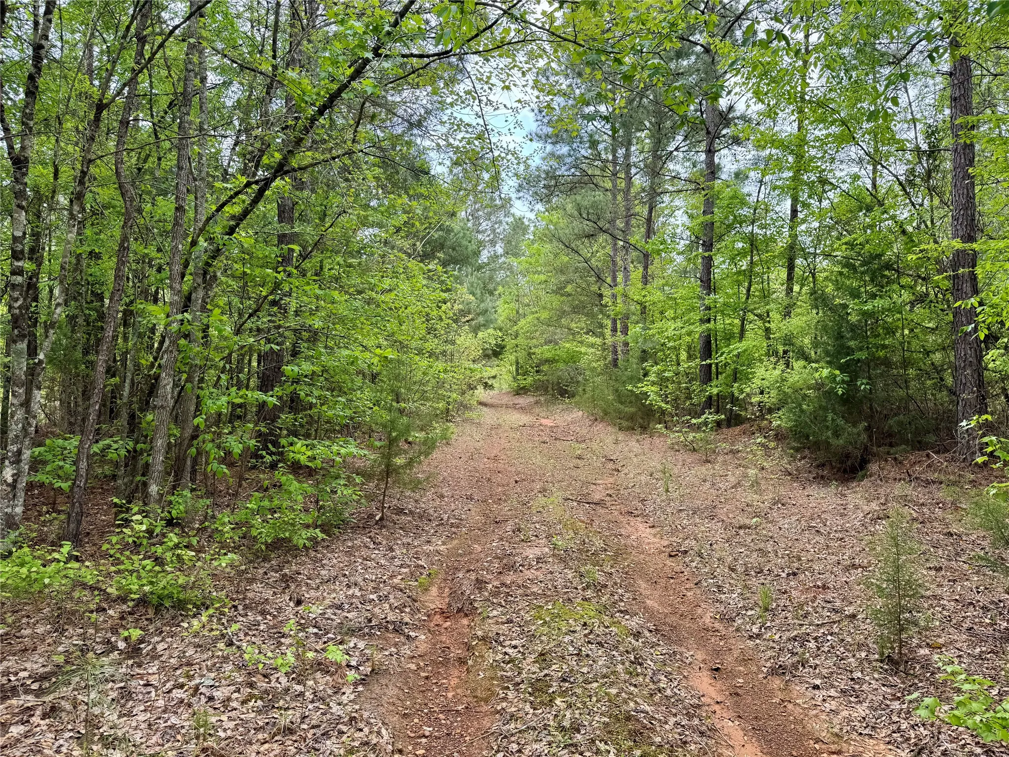 Unimproved Land For Sale in Cass County , TBD County Road 2742, Naples, Texas 75568, 0, 0, Garage spaces, 0 Sqft, built in 0, Price $499,000, mls#21171956, Real Estate Agent in Naples, Homes For Sale in Cass county, Homes For Sale in Naples, Realtor in Naples Texas, Real Estate Brokerage Independent Realty Texas, Luminita Cordes Realtor