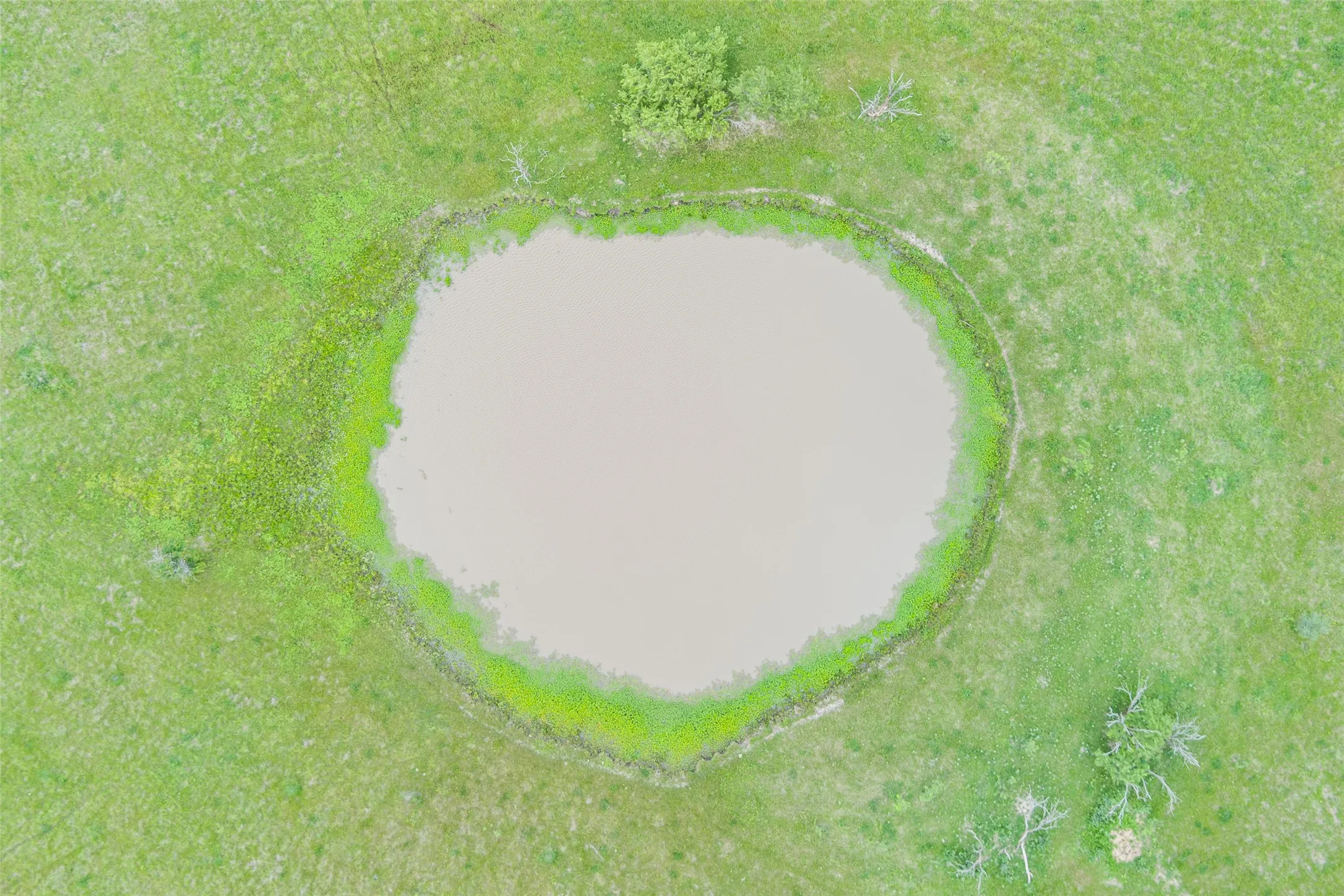 Unimproved Land For Sale in Limestone County , TBD Highway 14 S, Groesbeck, Texas 76642, 0, 0, Garage spaces, 0 Sqft, built in 0, Price $153,000, mls#21172026, Real Estate Agent in Groesbeck, Homes For Sale in Limestone county, Homes For Sale in Groesbeck, Realtor in Groesbeck Texas, Real Estate Brokerage Independent Realty Texas, Luminita Cordes Realtor