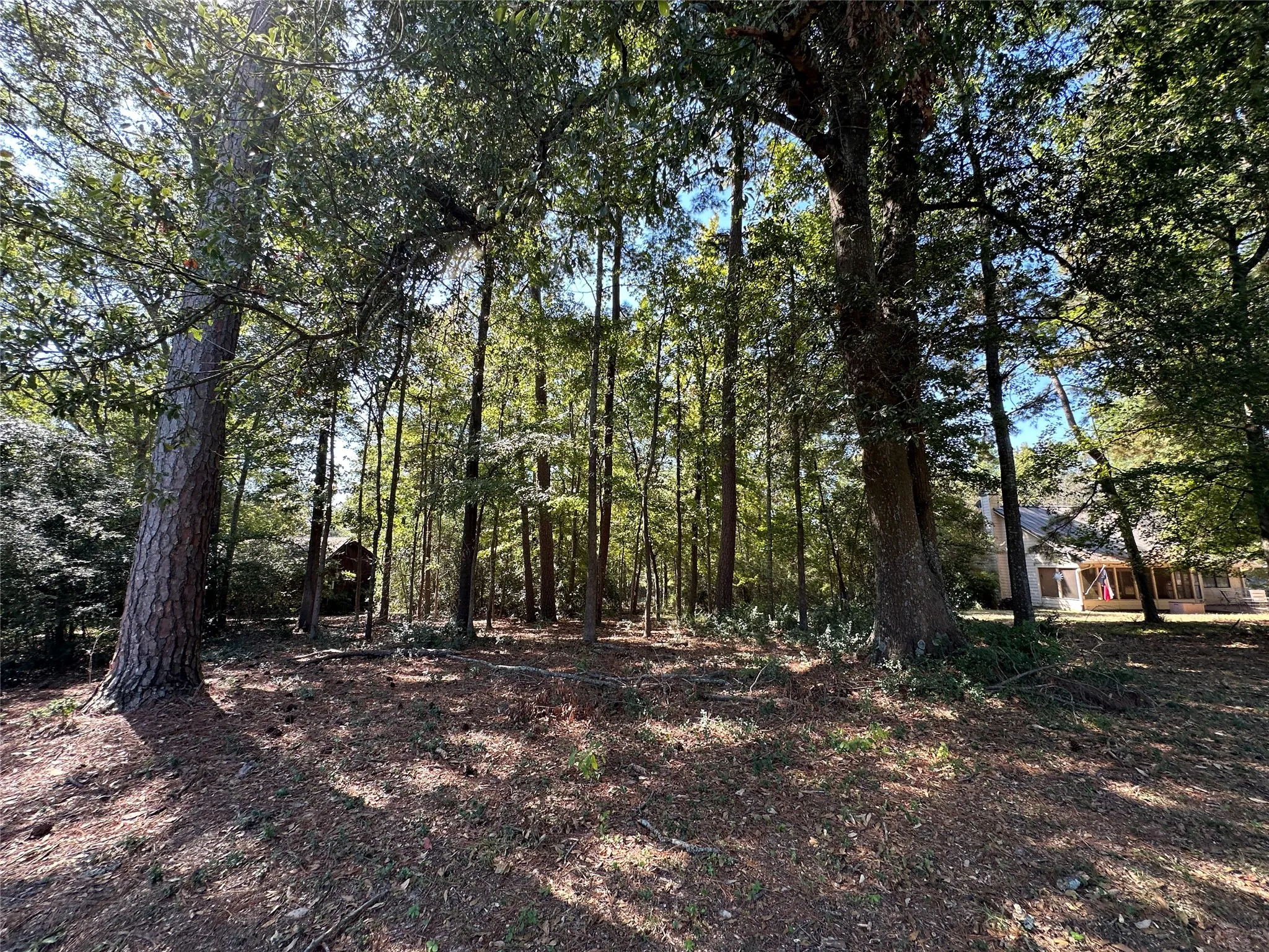 Unimproved Land For Sale in Wood County , TBD Holly Trail, Holly Lake Ranch, Texas 75765, 0, 0, Garage spaces, 0 Sqft, built in 0, mls#21172133, Real Estate Agent in Holly Lake Ranch, Homes For Sale in Wood county, Homes For Sale in Holly Lake Ranch, Realtor in Holly Lake Ranch Texas, Real Estate Brokerage Independent Realty Texas, Luminita Cordes Realtor