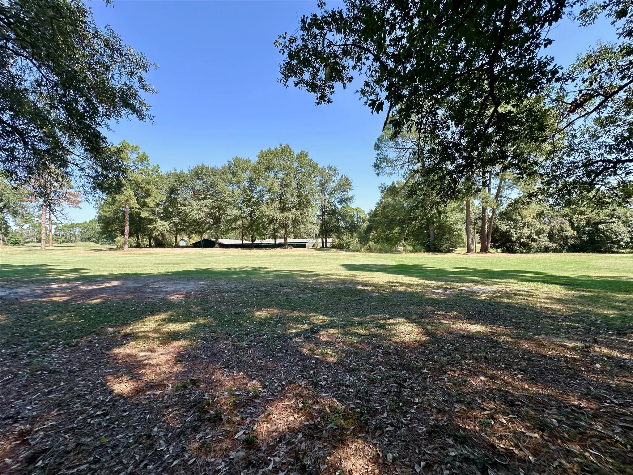 Unimproved Land For Sale in Wood County , TBD Holly Trail, Holly Lake Ranch, Texas 75765, 0, 0, Garage spaces, 0 Sqft, built in 0, mls#21172133, Real Estate Agent in Holly Lake Ranch, Homes For Sale in Wood county, Homes For Sale in Holly Lake Ranch, Realtor in Holly Lake Ranch Texas, Real Estate Brokerage Independent Realty Texas, Luminita Cordes Realtor