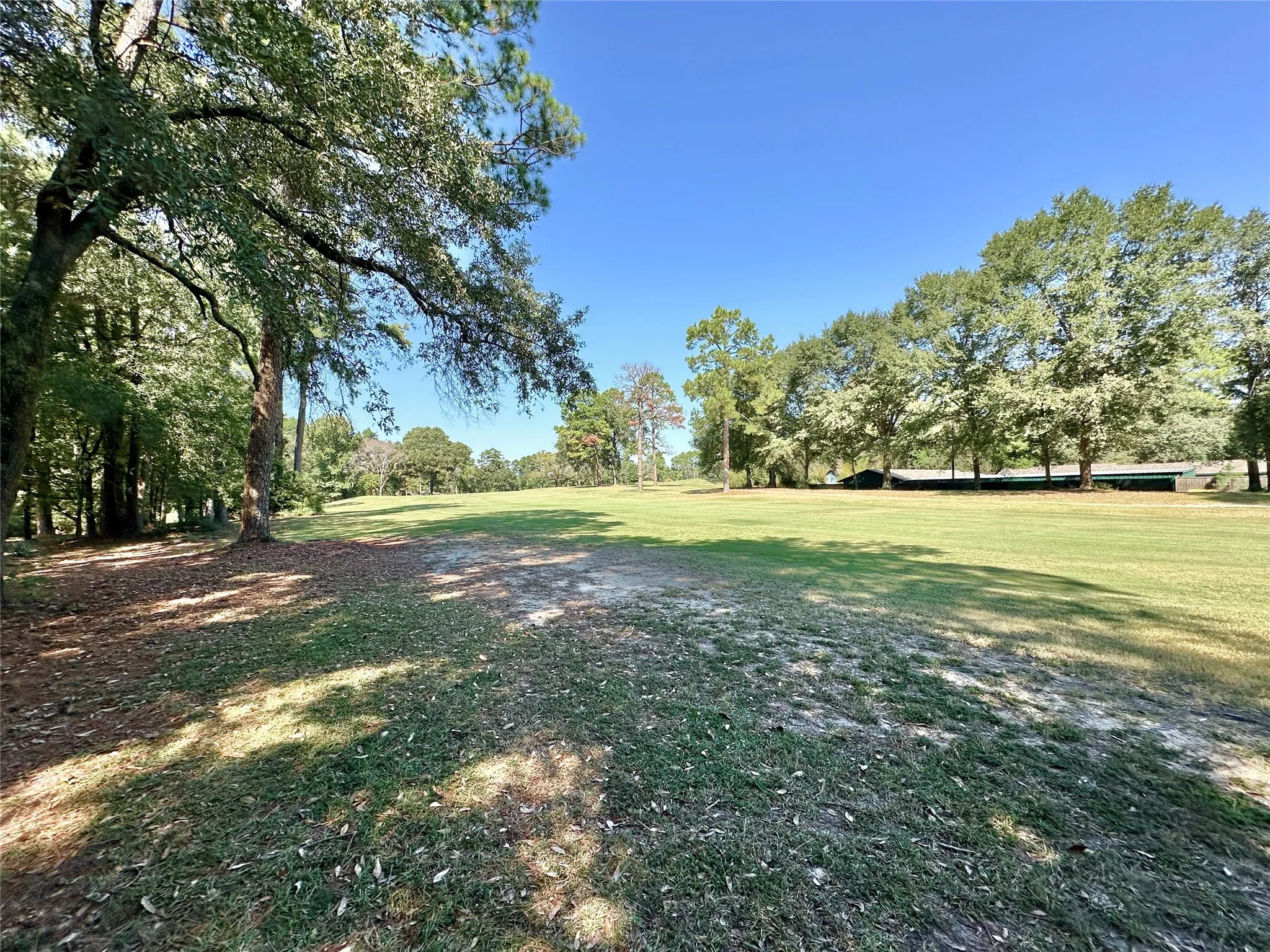 Unimproved Land For Sale in Wood County , TBD Holly Trail, Holly Lake Ranch, Texas 75765, 0, 0, Garage spaces, 0 Sqft, built in 0, mls#21172133, Real Estate Agent in Holly Lake Ranch, Homes For Sale in Wood county, Homes For Sale in Holly Lake Ranch, Realtor in Holly Lake Ranch Texas, Real Estate Brokerage Independent Realty Texas, Luminita Cordes Realtor