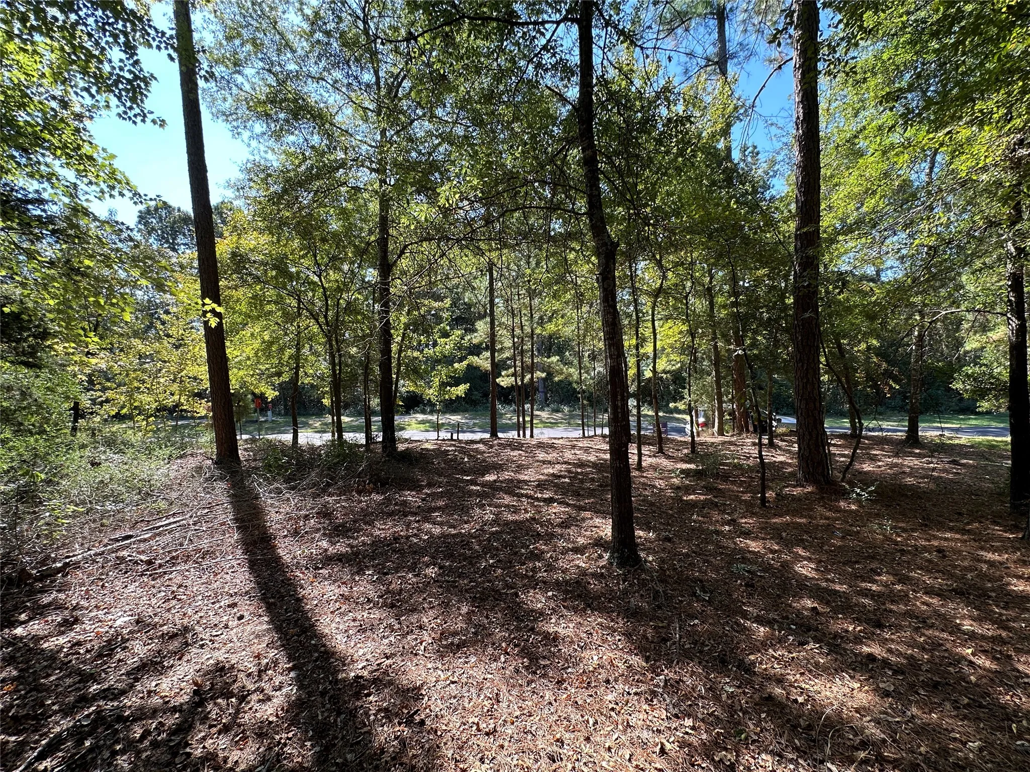 Unimproved Land For Sale in Wood County , TBD Holly Trail, Holly Lake Ranch, Texas 75765, 0, 0, Garage spaces, 0 Sqft, built in 0, mls#21172133, Real Estate Agent in Holly Lake Ranch, Homes For Sale in Wood county, Homes For Sale in Holly Lake Ranch, Realtor in Holly Lake Ranch Texas, Real Estate Brokerage Independent Realty Texas, Luminita Cordes Realtor