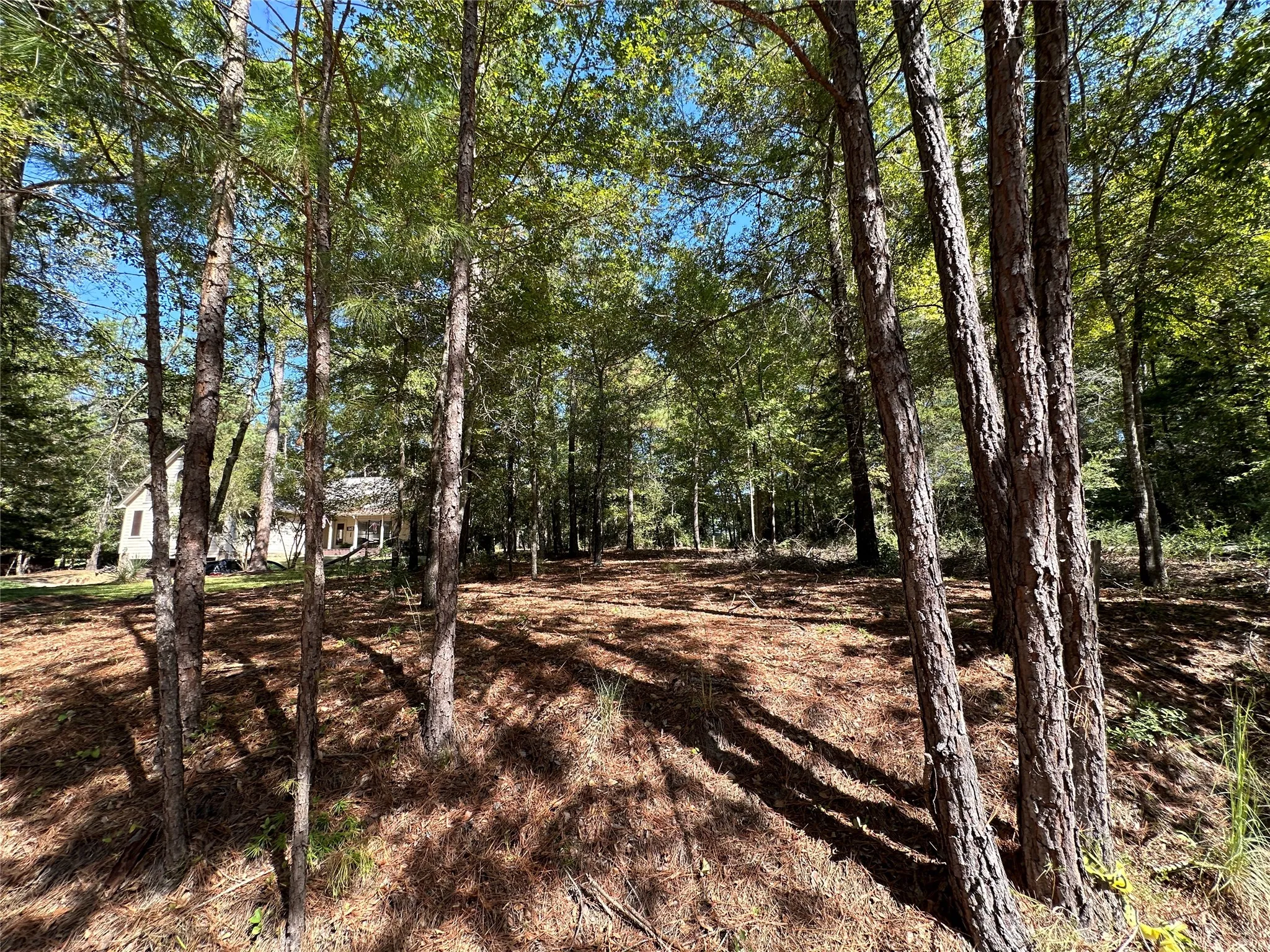 Unimproved Land For Sale in Wood County , TBD Holly Trail, Holly Lake Ranch, Texas 75765, 0, 0, Garage spaces, 0 Sqft, built in 0, mls#21172133, Real Estate Agent in Holly Lake Ranch, Homes For Sale in Wood county, Homes For Sale in Holly Lake Ranch, Realtor in Holly Lake Ranch Texas, Real Estate Brokerage Independent Realty Texas, Luminita Cordes Realtor