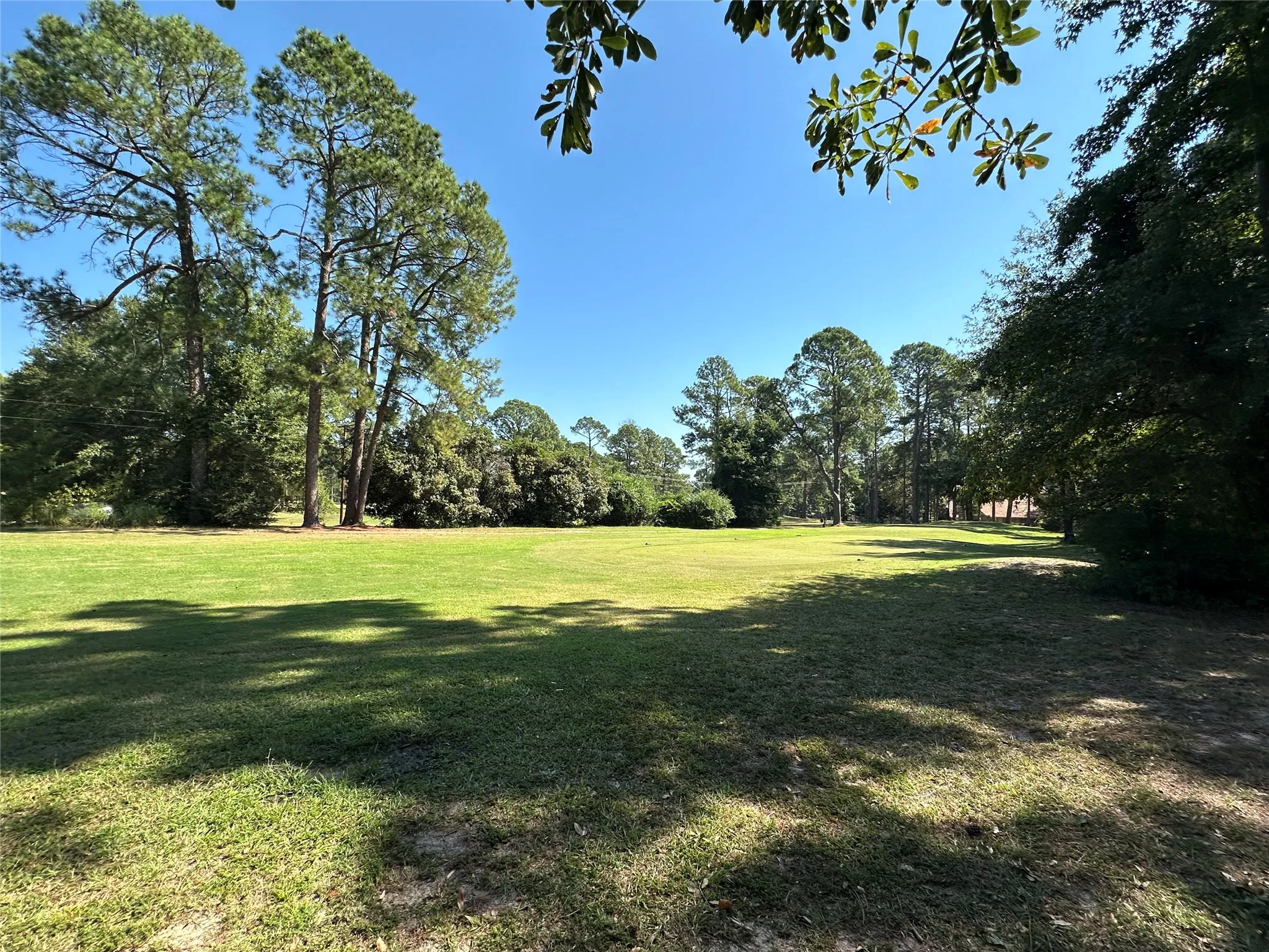 Unimproved Land For Sale in Wood County , TBD Holly Trail, Holly Lake Ranch, Texas 75765, 0, 0, Garage spaces, 0 Sqft, built in 0, mls#21172133, Real Estate Agent in Holly Lake Ranch, Homes For Sale in Wood county, Homes For Sale in Holly Lake Ranch, Realtor in Holly Lake Ranch Texas, Real Estate Brokerage Independent Realty Texas, Luminita Cordes Realtor