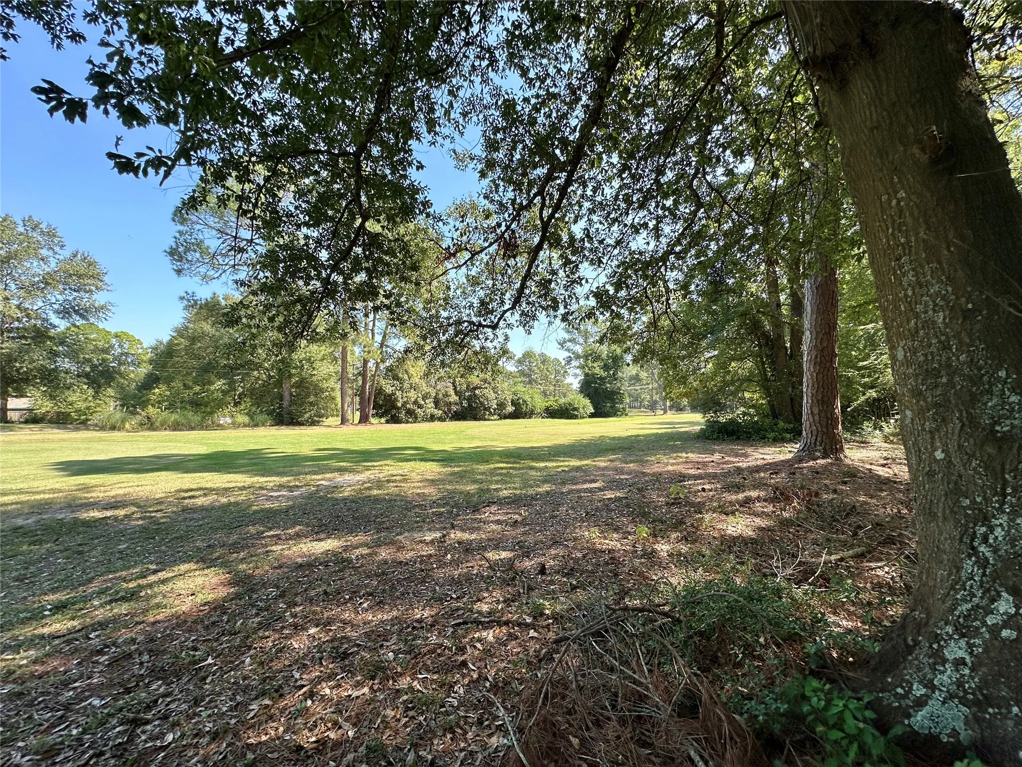 Unimproved Land For Sale in Wood County , TBD Holly Trail, Holly Lake Ranch, Texas 75765, 0, 0, Garage spaces, 0 Sqft, built in 0, mls#21172133, Real Estate Agent in Holly Lake Ranch, Homes For Sale in Wood county, Homes For Sale in Holly Lake Ranch, Realtor in Holly Lake Ranch Texas, Real Estate Brokerage Independent Realty Texas, Luminita Cordes Realtor