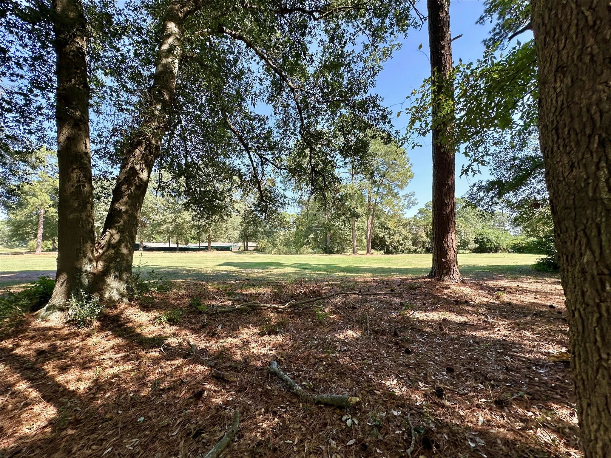 Unimproved Land For Sale in Wood County , TBD Holly Trail, Holly Lake Ranch, Texas 75765, 0, 0, Garage spaces, 0 Sqft, built in 0, mls#21172133, Real Estate Agent in Holly Lake Ranch, Homes For Sale in Wood county, Homes For Sale in Holly Lake Ranch, Realtor in Holly Lake Ranch Texas, Real Estate Brokerage Independent Realty Texas, Luminita Cordes Realtor