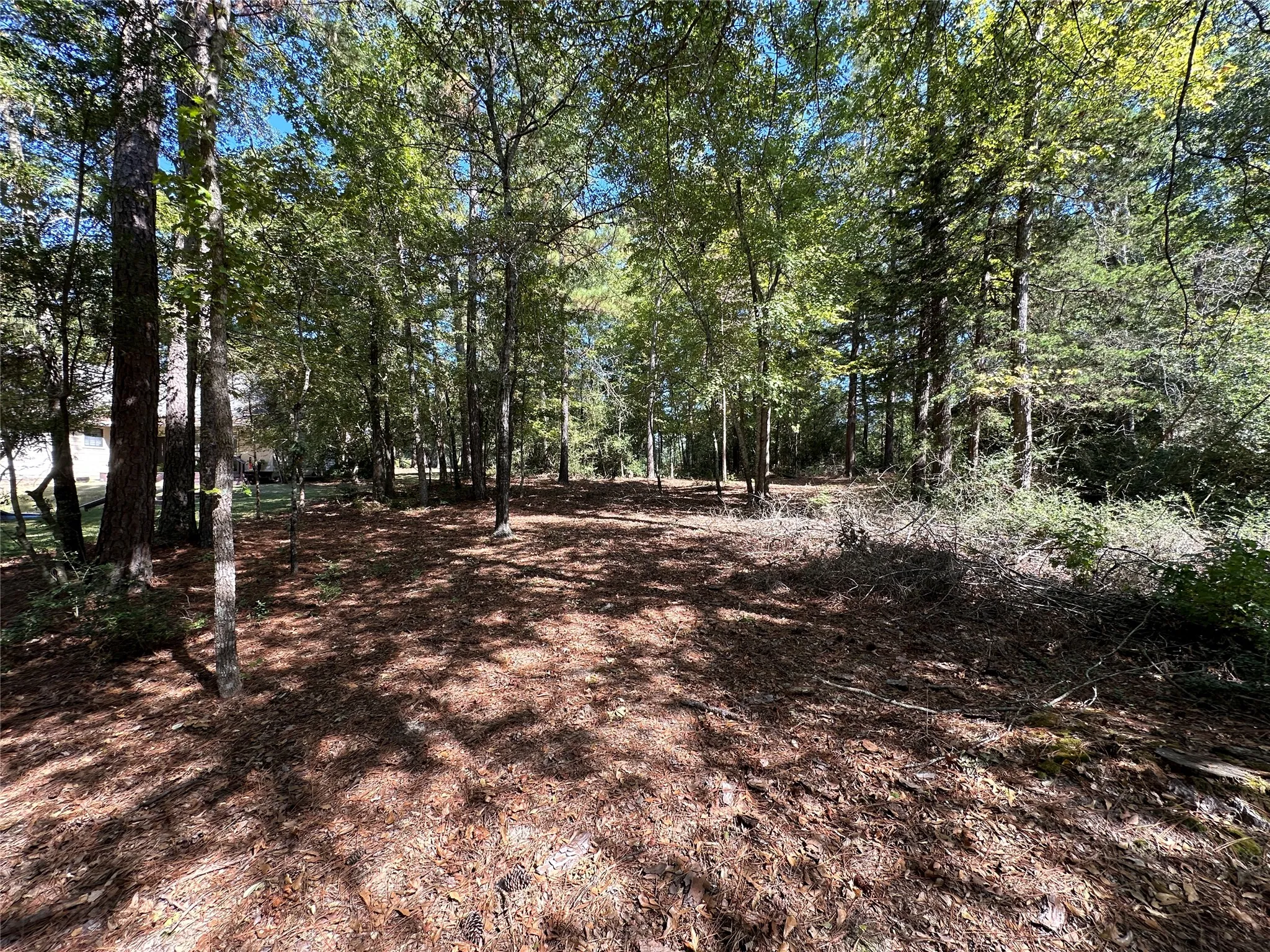 Unimproved Land For Sale in Wood County , TBD Holly Trail, Holly Lake Ranch, Texas 75765, 0, 0, Garage spaces, 0 Sqft, built in 0, mls#21172133, Real Estate Agent in Holly Lake Ranch, Homes For Sale in Wood county, Homes For Sale in Holly Lake Ranch, Realtor in Holly Lake Ranch Texas, Real Estate Brokerage Independent Realty Texas, Luminita Cordes Realtor