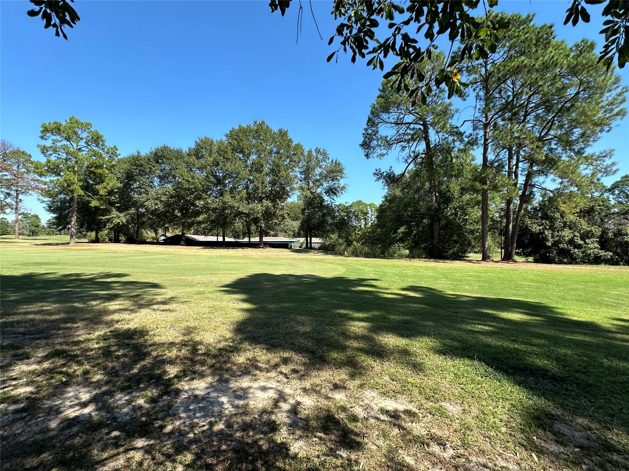 Unimproved Land For Sale in Wood County , TBD Holly Trail, Holly Lake Ranch, Texas 75765, 0, 0, Garage spaces, 0 Sqft, built in 0, mls#21172133, Real Estate Agent in Holly Lake Ranch, Homes For Sale in Wood county, Homes For Sale in Holly Lake Ranch, Realtor in Holly Lake Ranch Texas, Real Estate Brokerage Independent Realty Texas, Luminita Cordes Realtor