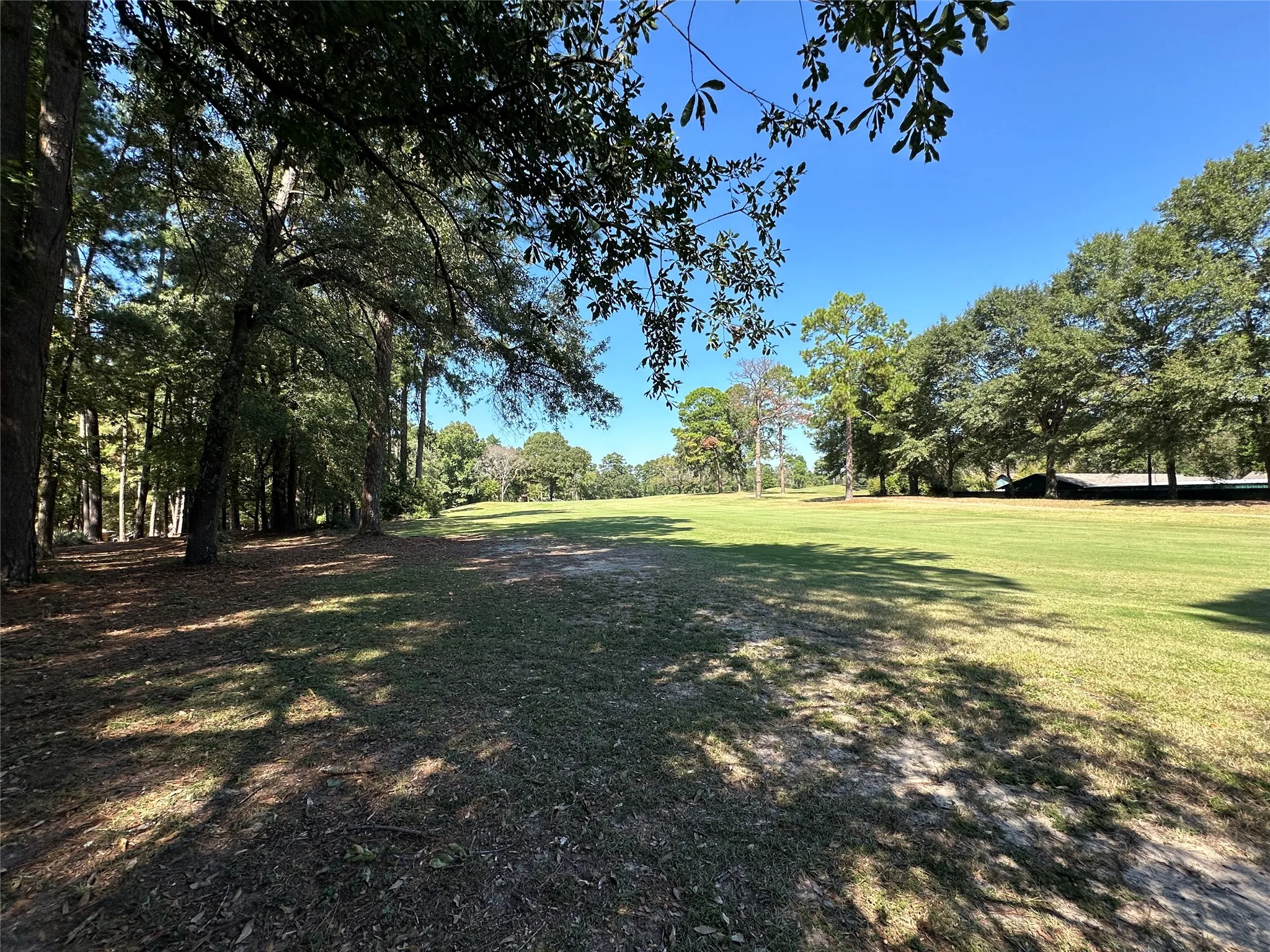 Unimproved Land For Sale in Wood County , TBD Holly Trail, Holly Lake Ranch, Texas 75765, 0, 0, Garage spaces, 0 Sqft, built in 0, mls#21172133, Real Estate Agent in Holly Lake Ranch, Homes For Sale in Wood county, Homes For Sale in Holly Lake Ranch, Realtor in Holly Lake Ranch Texas, Real Estate Brokerage Independent Realty Texas, Luminita Cordes Realtor