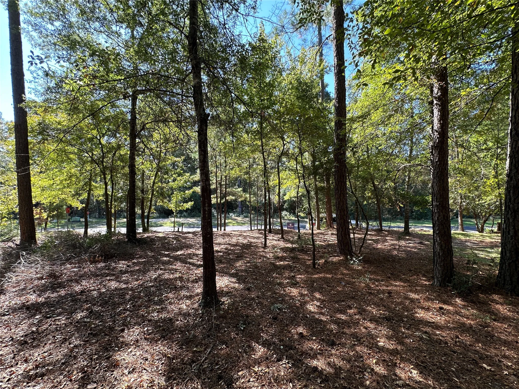 Unimproved Land For Sale in Wood County , TBD Holly Trail, Holly Lake Ranch, Texas 75765, 0, 0, Garage spaces, 0 Sqft, built in 0, mls#21172133, Real Estate Agent in Holly Lake Ranch, Homes For Sale in Wood county, Homes For Sale in Holly Lake Ranch, Realtor in Holly Lake Ranch Texas, Real Estate Brokerage Independent Realty Texas, Luminita Cordes Realtor