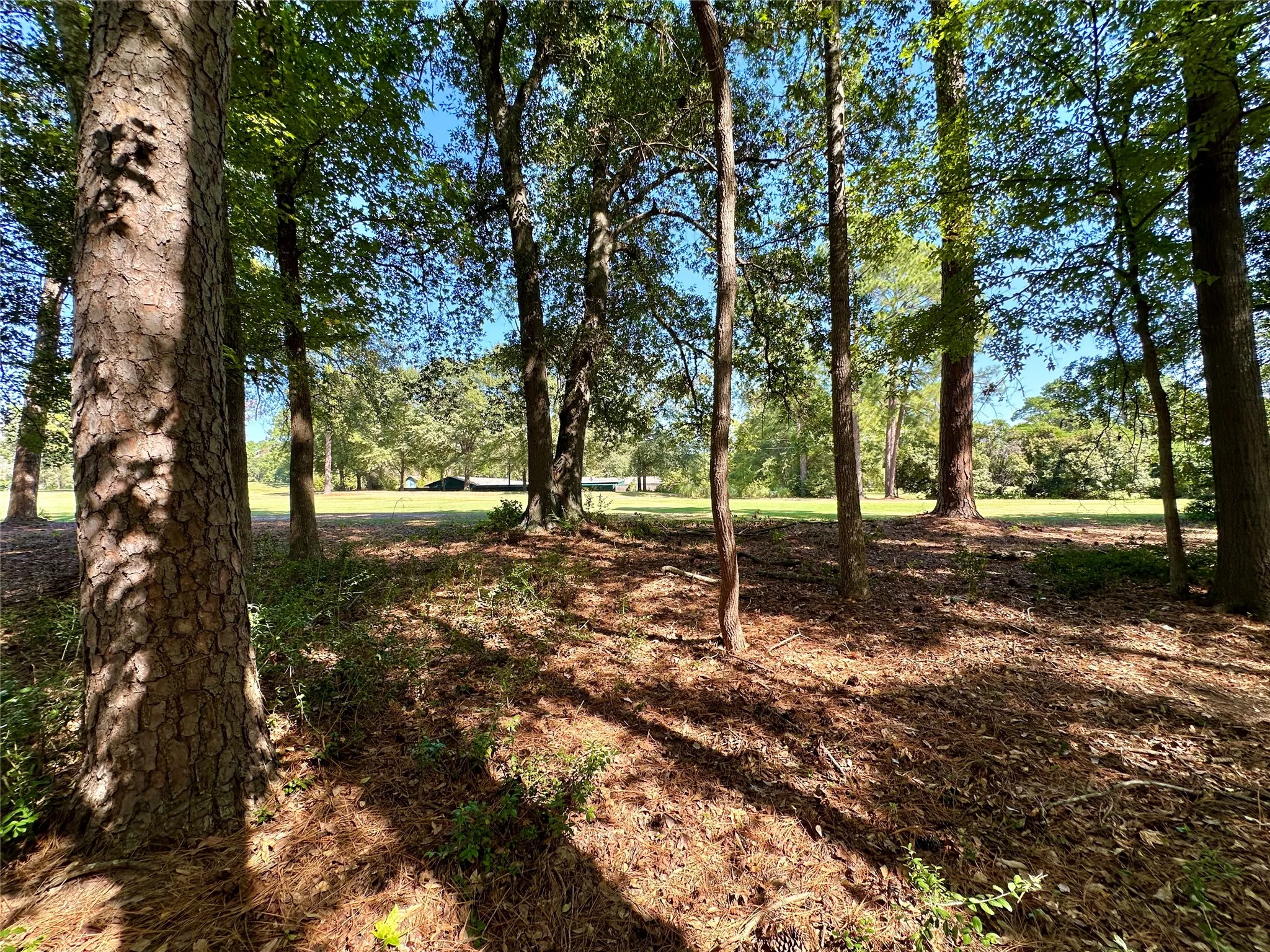 Unimproved Land For Sale in Wood County , TBD Holly Trail, Holly Lake Ranch, Texas 75765, 0, 0, Garage spaces, 0 Sqft, built in 0, mls#21172133, Real Estate Agent in Holly Lake Ranch, Homes For Sale in Wood county, Homes For Sale in Holly Lake Ranch, Realtor in Holly Lake Ranch Texas, Real Estate Brokerage Independent Realty Texas, Luminita Cordes Realtor