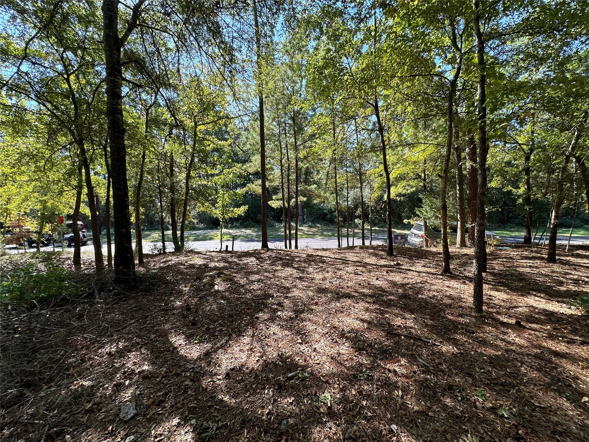 Unimproved Land For Sale in Wood County , TBD Holly Trail, Holly Lake Ranch, Texas 75765, 0, 0, Garage spaces, 0 Sqft, built in 0, mls#21172133, Real Estate Agent in Holly Lake Ranch, Homes For Sale in Wood county, Homes For Sale in Holly Lake Ranch, Realtor in Holly Lake Ranch Texas, Real Estate Brokerage Independent Realty Texas, Luminita Cordes Realtor
