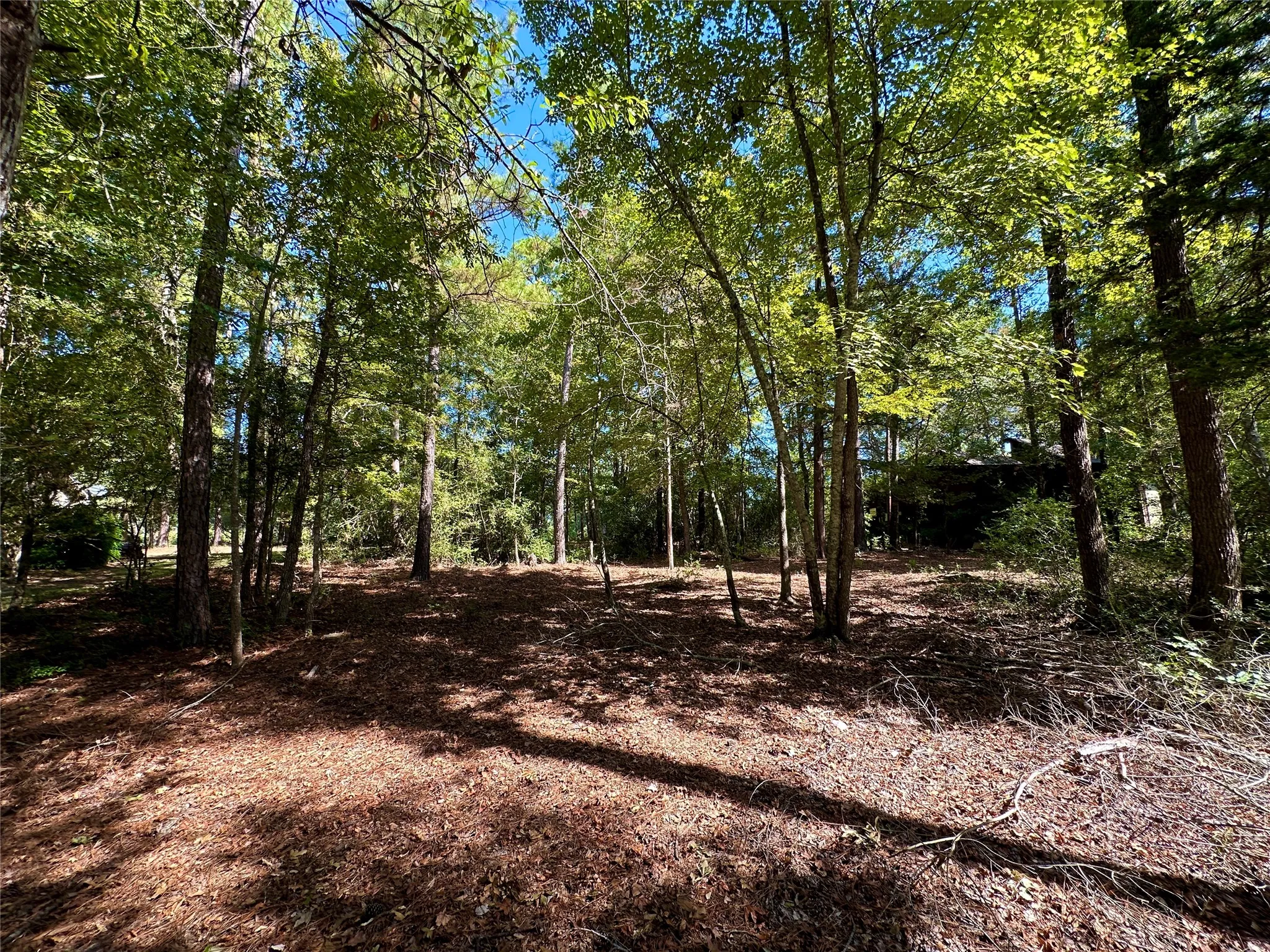 Unimproved Land For Sale in Wood County , TBD Holly Trail, Holly Lake Ranch, Texas 75765, 0, 0, Garage spaces, 0 Sqft, built in 0, mls#21172133, Real Estate Agent in Holly Lake Ranch, Homes For Sale in Wood county, Homes For Sale in Holly Lake Ranch, Realtor in Holly Lake Ranch Texas, Real Estate Brokerage Independent Realty Texas, Luminita Cordes Realtor
