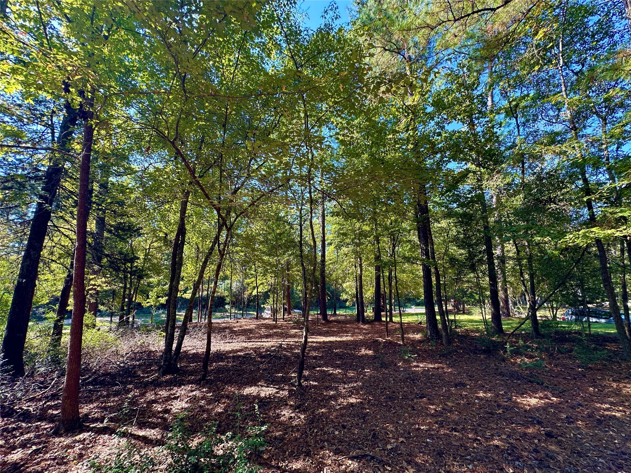Unimproved Land For Sale in Wood County , TBD Holly Trail, Holly Lake Ranch, Texas 75765, 0, 0, Garage spaces, 0 Sqft, built in 0, mls#21172133, Real Estate Agent in Holly Lake Ranch, Homes For Sale in Wood county, Homes For Sale in Holly Lake Ranch, Realtor in Holly Lake Ranch Texas, Real Estate Brokerage Independent Realty Texas, Luminita Cordes Realtor