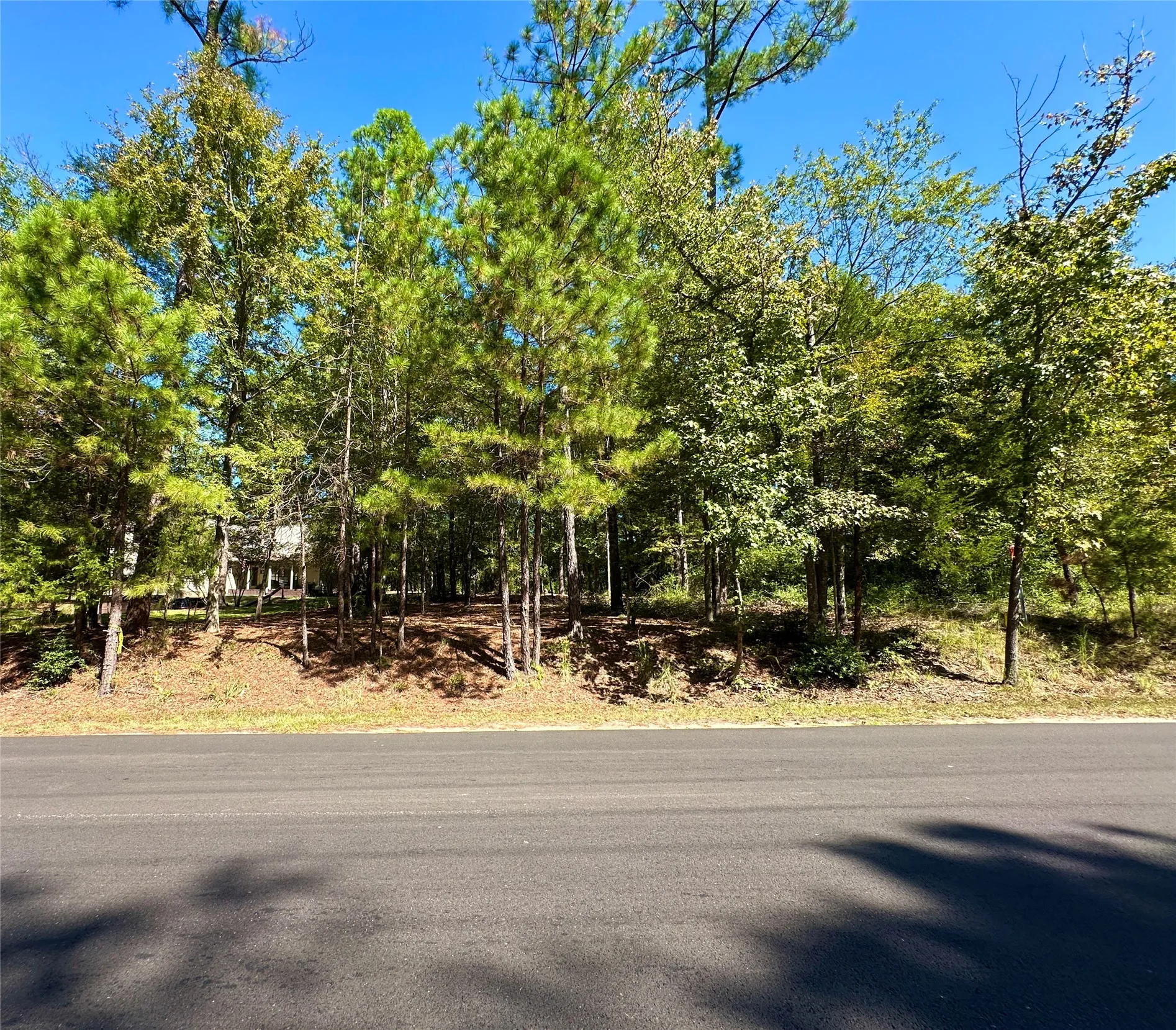 Unimproved Land For Sale in Wood County , TBD Holly Trail, Holly Lake Ranch, Texas 75765, 0, 0, Garage spaces, 0 Sqft, built in 0, mls#21172133, Real Estate Agent in Holly Lake Ranch, Homes For Sale in Wood county, Homes For Sale in Holly Lake Ranch, Realtor in Holly Lake Ranch Texas, Real Estate Brokerage Independent Realty Texas, Luminita Cordes Realtor