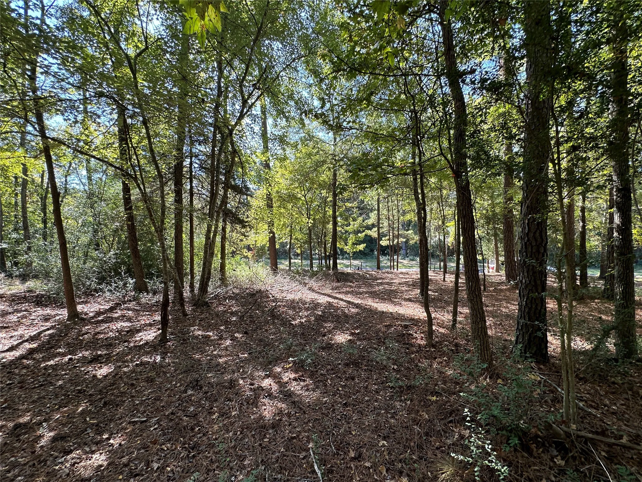 Unimproved Land For Sale in Wood County , TBD Holly Trail, Holly Lake Ranch, Texas 75765, 0, 0, Garage spaces, 0 Sqft, built in 0, mls#21172133, Real Estate Agent in Holly Lake Ranch, Homes For Sale in Wood county, Homes For Sale in Holly Lake Ranch, Realtor in Holly Lake Ranch Texas, Real Estate Brokerage Independent Realty Texas, Luminita Cordes Realtor