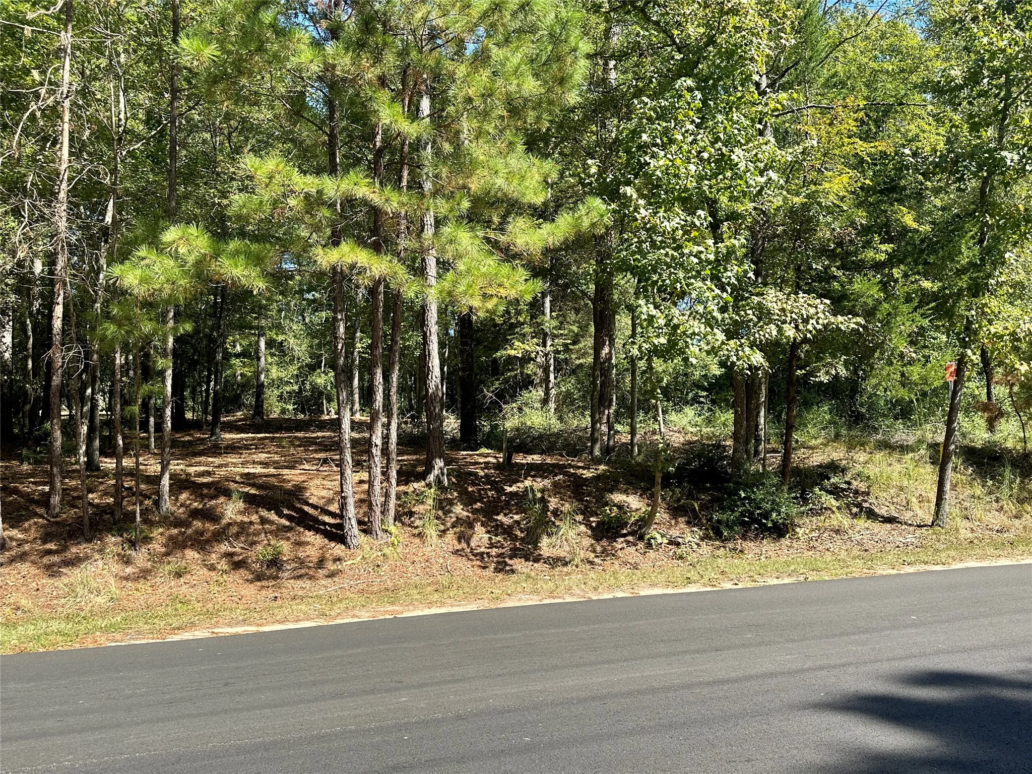 Unimproved Land For Sale in Wood County , TBD Holly Trail, Holly Lake Ranch, Texas 75765, 0, 0, Garage spaces, 0 Sqft, built in 0, mls#21172133, Real Estate Agent in Holly Lake Ranch, Homes For Sale in Wood county, Homes For Sale in Holly Lake Ranch, Realtor in Holly Lake Ranch Texas, Real Estate Brokerage Independent Realty Texas, Luminita Cordes Realtor