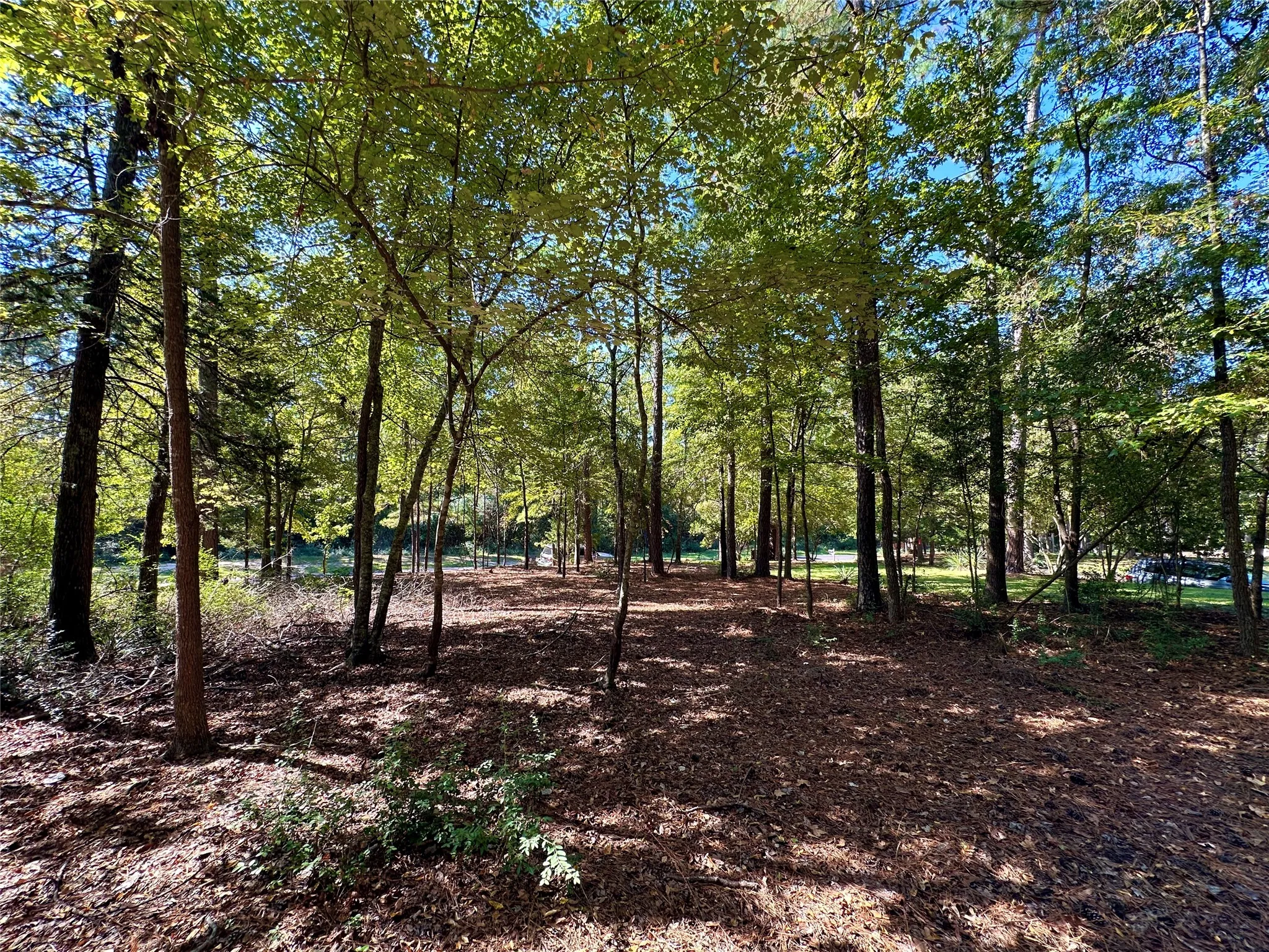 Unimproved Land For Sale in Wood County , TBD Holly Trail, Holly Lake Ranch, Texas 75765, 0, 0, Garage spaces, 0 Sqft, built in 0, mls#21172133, Real Estate Agent in Holly Lake Ranch, Homes For Sale in Wood county, Homes For Sale in Holly Lake Ranch, Realtor in Holly Lake Ranch Texas, Real Estate Brokerage Independent Realty Texas, Luminita Cordes Realtor