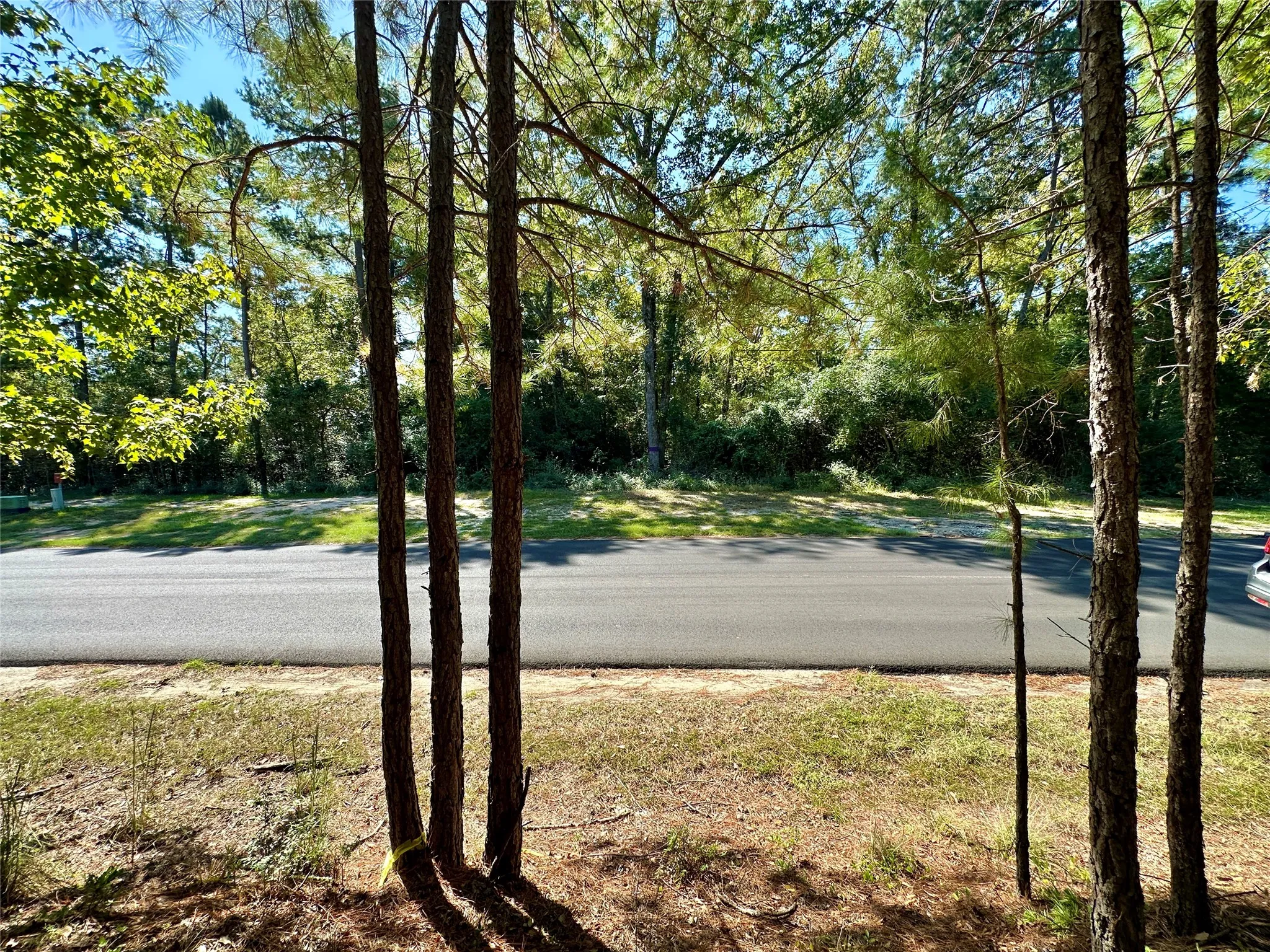 Unimproved Land For Sale in Wood County , TBD Holly Trail, Holly Lake Ranch, Texas 75765, 0, 0, Garage spaces, 0 Sqft, built in 0, mls#21172133, Real Estate Agent in Holly Lake Ranch, Homes For Sale in Wood county, Homes For Sale in Holly Lake Ranch, Realtor in Holly Lake Ranch Texas, Real Estate Brokerage Independent Realty Texas, Luminita Cordes Realtor