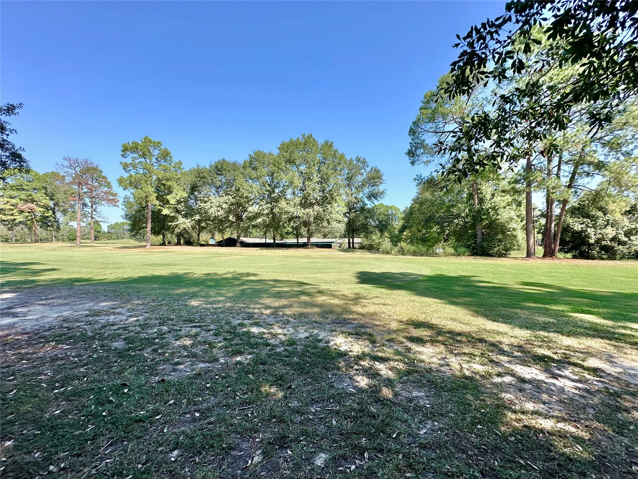 Unimproved Land For Sale in Wood County , TBD Holly Trail, Holly Lake Ranch, Texas 75765, 0, 0, Garage spaces, 0 Sqft, built in 0, mls#21172133, Real Estate Agent in Holly Lake Ranch, Homes For Sale in Wood county, Homes For Sale in Holly Lake Ranch, Realtor in Holly Lake Ranch Texas, Real Estate Brokerage Independent Realty Texas, Luminita Cordes Realtor