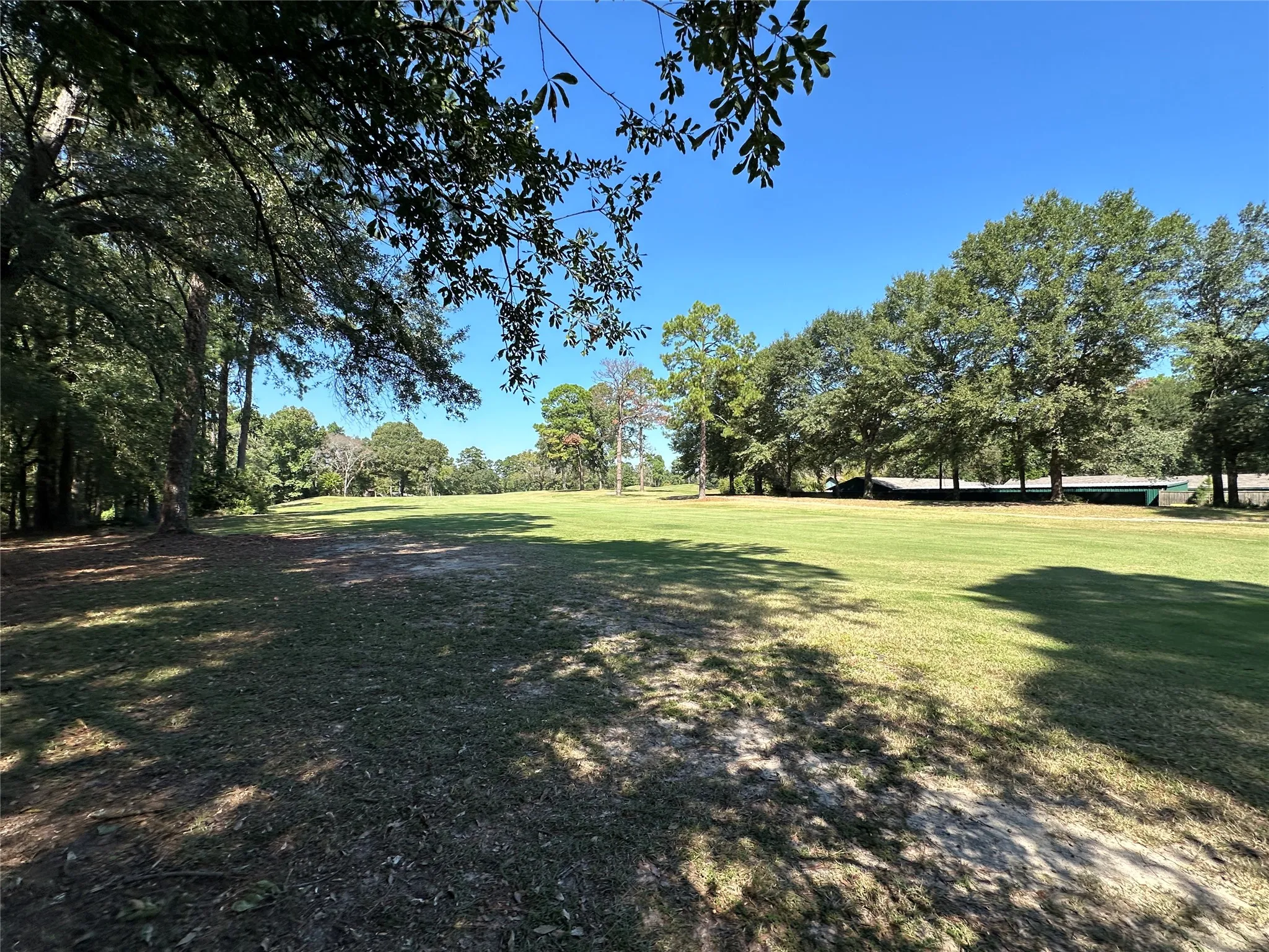 Unimproved Land For Sale in Wood County , TBD Holly Trail, Holly Lake Ranch, Texas 75765, 0, 0, Garage spaces, 0 Sqft, built in 0, mls#21172133, Real Estate Agent in Holly Lake Ranch, Homes For Sale in Wood county, Homes For Sale in Holly Lake Ranch, Realtor in Holly Lake Ranch Texas, Real Estate Brokerage Independent Realty Texas, Luminita Cordes Realtor