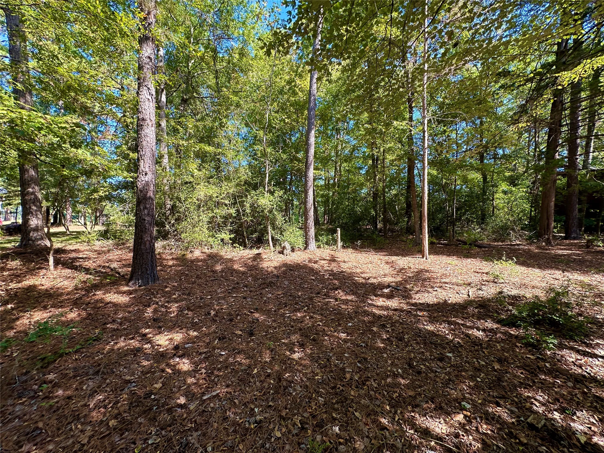 Unimproved Land For Sale in Wood County , TBD Holly Trail, Holly Lake Ranch, Texas 75765, 0, 0, Garage spaces, 0 Sqft, built in 0, mls#21172133, Real Estate Agent in Holly Lake Ranch, Homes For Sale in Wood county, Homes For Sale in Holly Lake Ranch, Realtor in Holly Lake Ranch Texas, Real Estate Brokerage Independent Realty Texas, Luminita Cordes Realtor