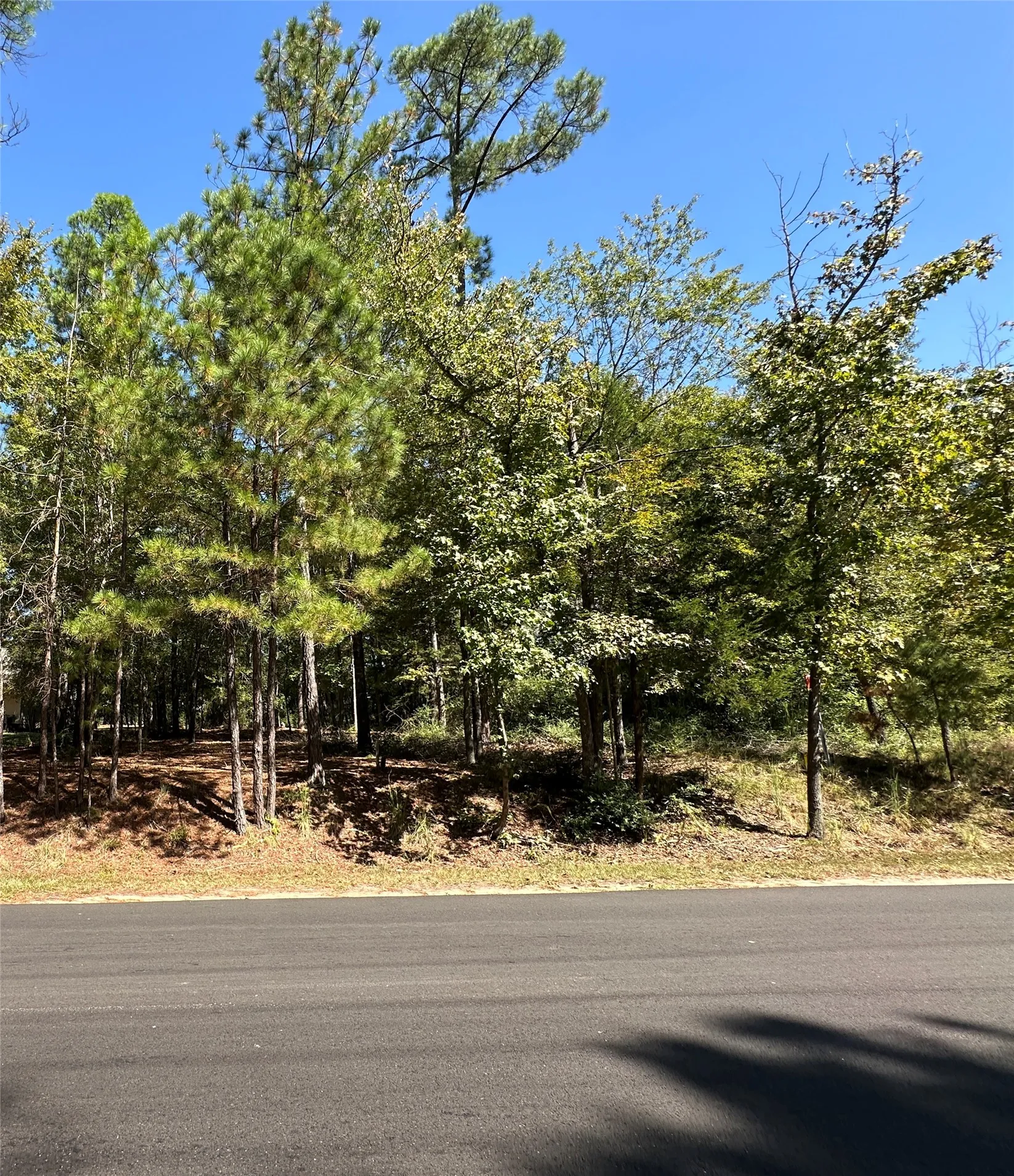 Unimproved Land For Sale in Wood County , TBD Holly Trail, Holly Lake Ranch, Texas 75765, 0, 0, Garage spaces, 0 Sqft, built in 0, mls#21172133, Real Estate Agent in Holly Lake Ranch, Homes For Sale in Wood county, Homes For Sale in Holly Lake Ranch, Realtor in Holly Lake Ranch Texas, Real Estate Brokerage Independent Realty Texas, Luminita Cordes Realtor