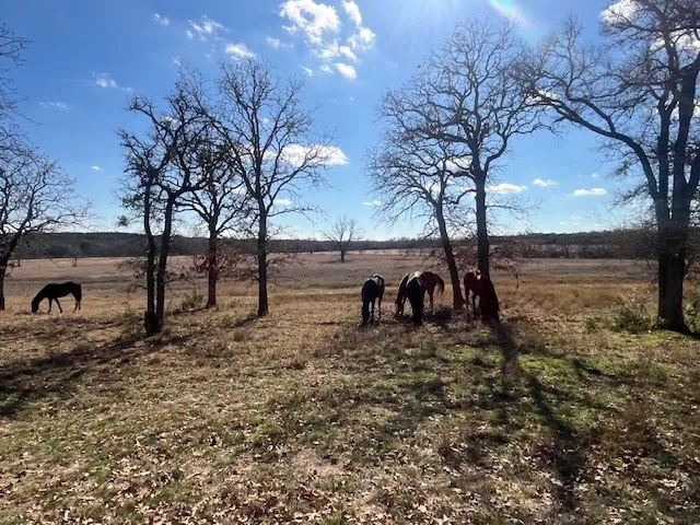 Single Family Residence For Sale in Hamilton County , 1705B County Road 122, Hico, Texas 76457, 3 Bedrooms, 4 Bathrooms, 2 Garage spaces, 2,694 Sqft, built in 1998, Price $2,749,900, mls#21172256, Real Estate Agent in Hico, Homes For Sale in Hamilton county, Homes For Sale in Hico, Realtor in Hico Texas, Real Estate Brokerage Independent Realty Texas, Luminita Cordes Realtor