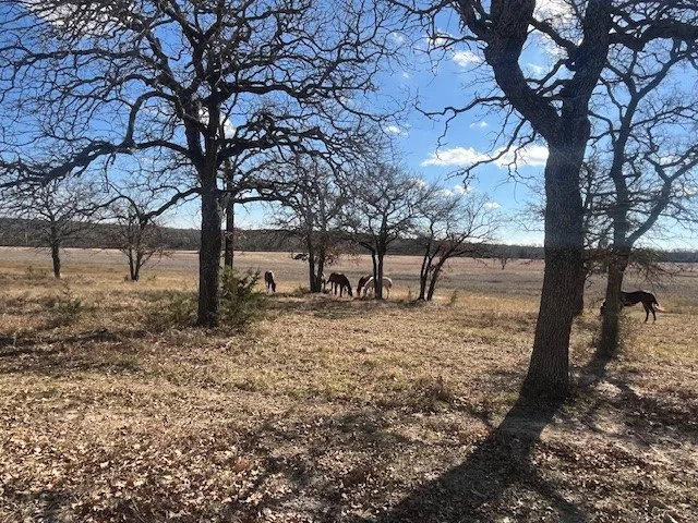 Single Family Residence For Sale in Hamilton County , 1705B County Road 122, Hico, Texas 76457, 3 Bedrooms, 4 Bathrooms, 2 Garage spaces, 2,694 Sqft, built in 1998, Price $2,749,900, mls#21172256, Real Estate Agent in Hico, Homes For Sale in Hamilton county, Homes For Sale in Hico, Realtor in Hico Texas, Real Estate Brokerage Independent Realty Texas, Luminita Cordes Realtor