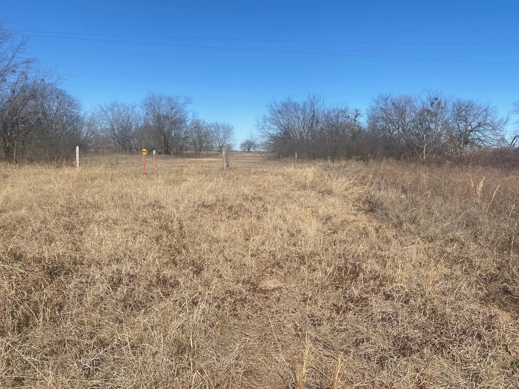 Unimproved Land For Sale in Navarro County , 231 County Road 3072, Corsicana, Texas 75109, 0, 0, Garage spaces, 0 Sqft, built in 0, mls#21172498, Real Estate Agent in Corsicana, Homes For Sale in Navarro county, Homes For Sale in Corsicana, Realtor in Corsicana Texas, Real Estate Brokerage Independent Realty Texas, Luminita Cordes Realtor