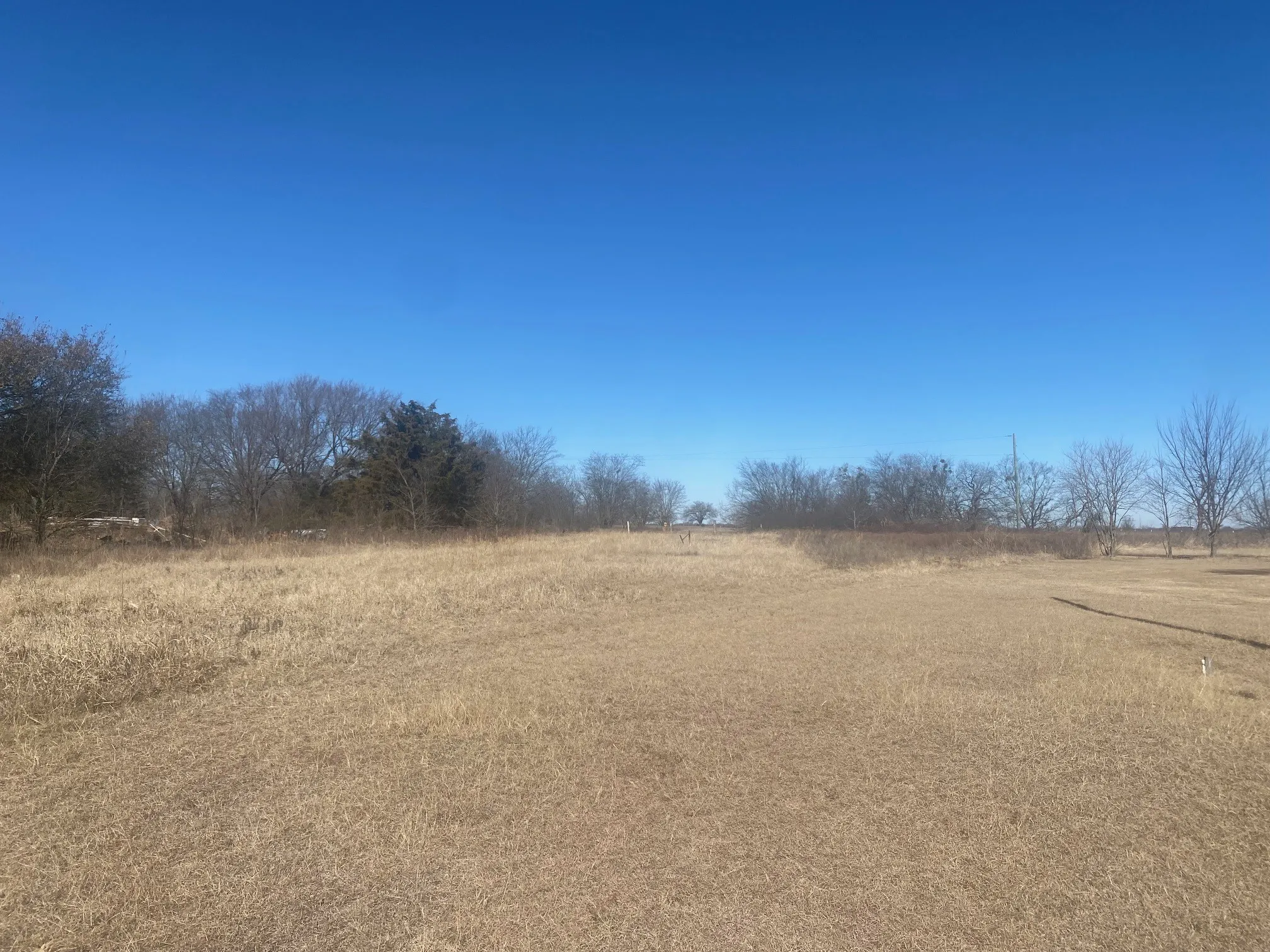 Unimproved Land For Sale in Navarro County , 231 County Road 3072, Corsicana, Texas 75109, 0, 0, Garage spaces, 0 Sqft, built in 0, mls#21172498, Real Estate Agent in Corsicana, Homes For Sale in Navarro county, Homes For Sale in Corsicana, Realtor in Corsicana Texas, Real Estate Brokerage Independent Realty Texas, Luminita Cordes Realtor