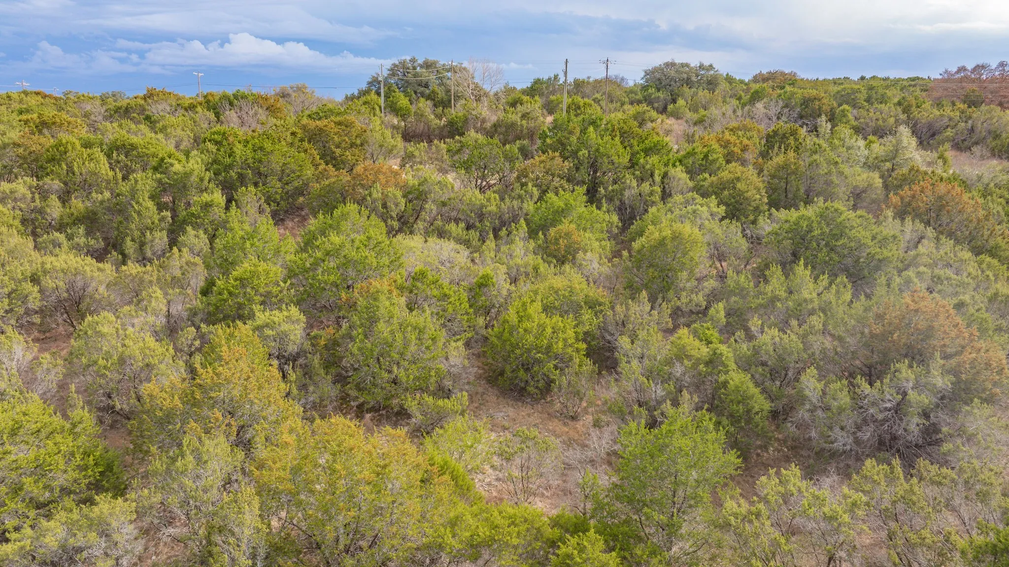 Unimproved Land For Sale in Erath County , 4175 Skyline Drive, Bluff Dale, Texas 76433, 0, 0, Garage spaces, 0 Sqft, built in 0, mls#21170809, Real Estate Agent in Bluff Dale, Homes For Sale in Erath county, Homes For Sale in Bluff Dale, Realtor in Bluff Dale Texas, Real Estate Brokerage Independent Realty Texas, Luminita Cordes Realtor