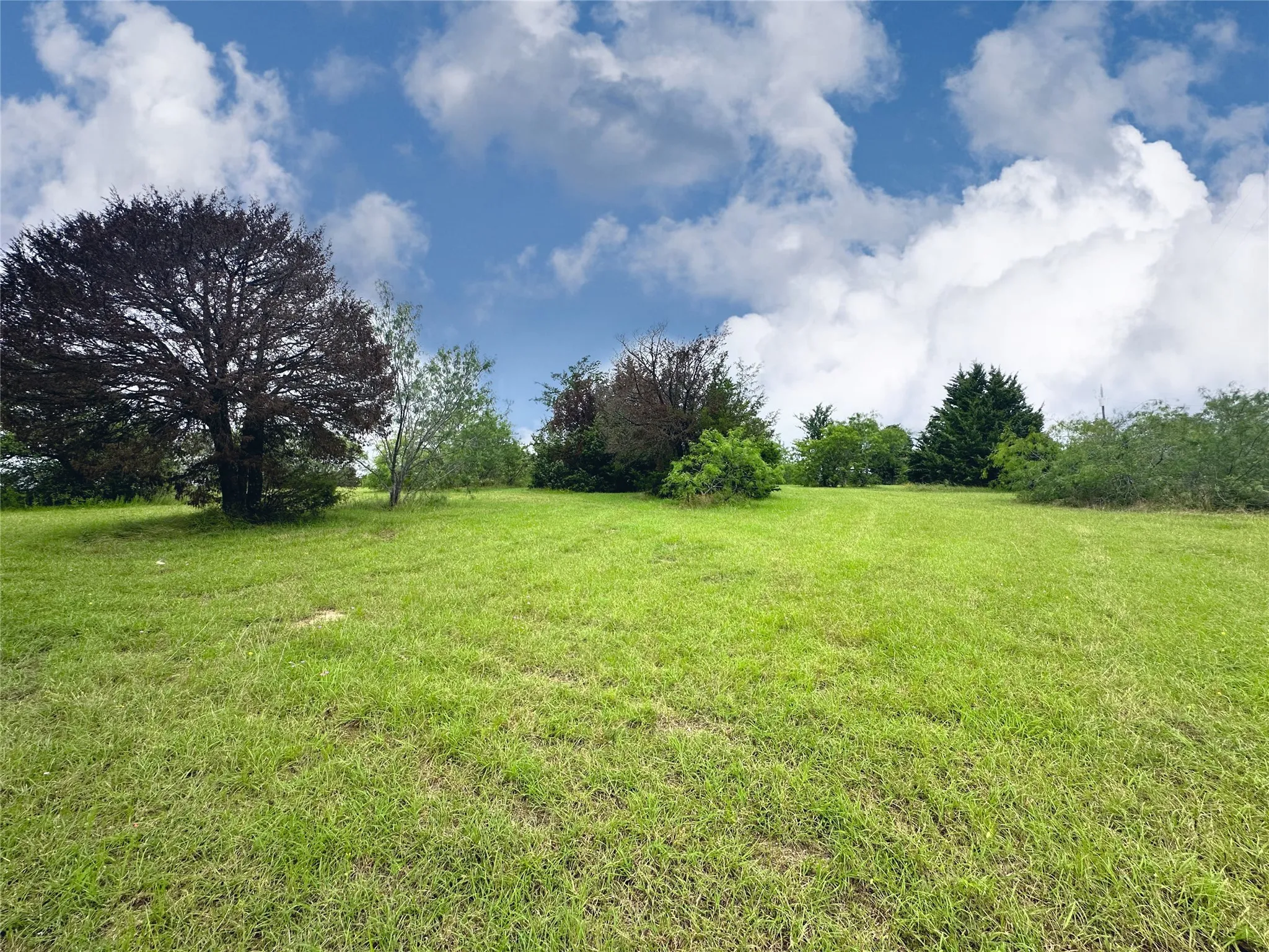 Unimproved Land For Sale in Navarro County , Lot 97 Fiddler Lane, Corsicana, Texas 75109, 0, 0, Garage spaces, 0 Sqft, built in 0, Price $45,900, mls#21164013, Real Estate Agent in Corsicana, Homes For Sale in Navarro county, Homes For Sale in Corsicana, Realtor in Corsicana Texas, Real Estate Brokerage Independent Realty Texas, Luminita Cordes Realtor