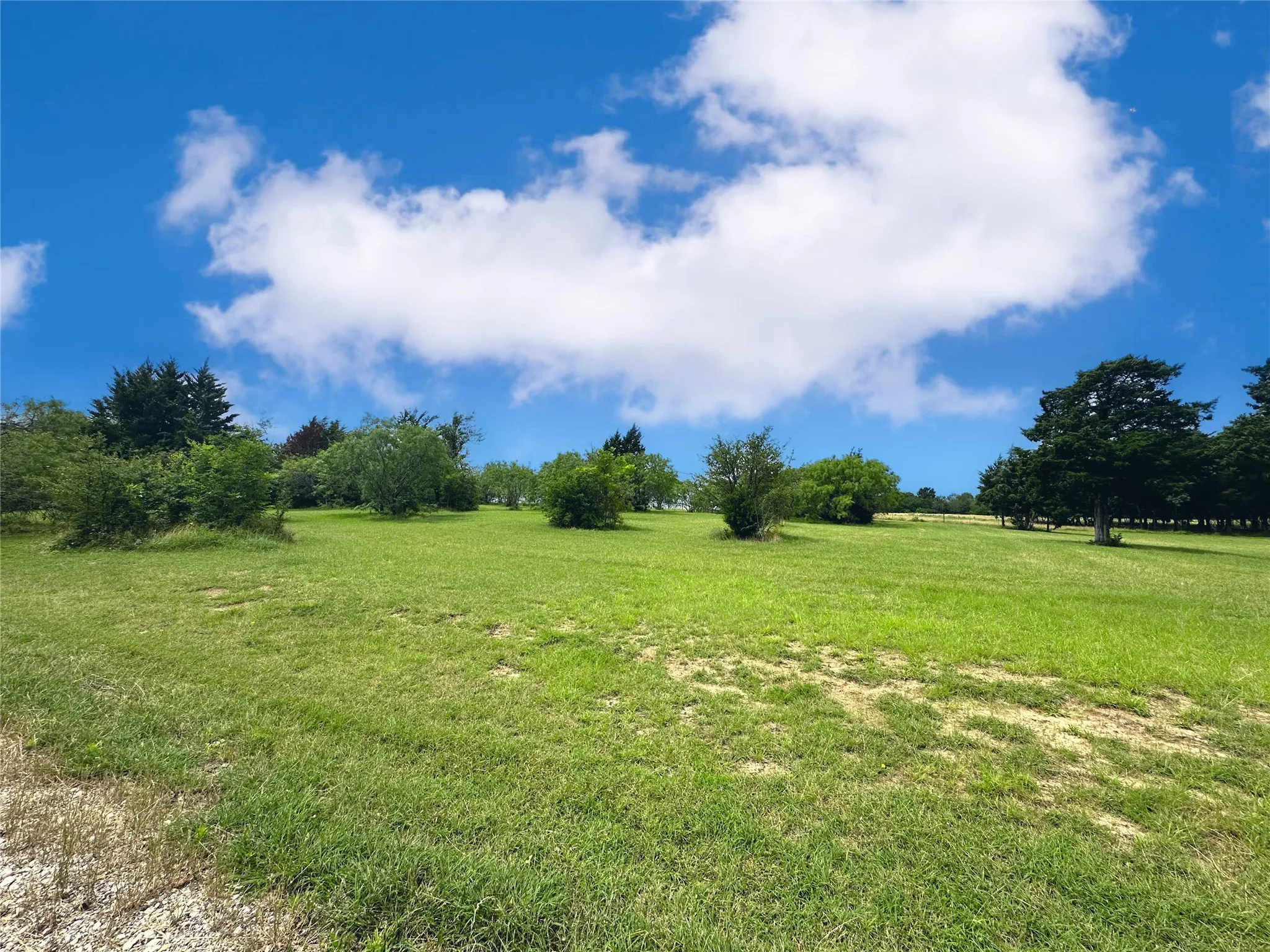 Unimproved Land For Sale in Navarro County , Lot 97 Fiddler Lane, Corsicana, Texas 75109, 0, 0, Garage spaces, 0 Sqft, built in 0, Price $45,900, mls#21164013, Real Estate Agent in Corsicana, Homes For Sale in Navarro county, Homes For Sale in Corsicana, Realtor in Corsicana Texas, Real Estate Brokerage Independent Realty Texas, Luminita Cordes Realtor