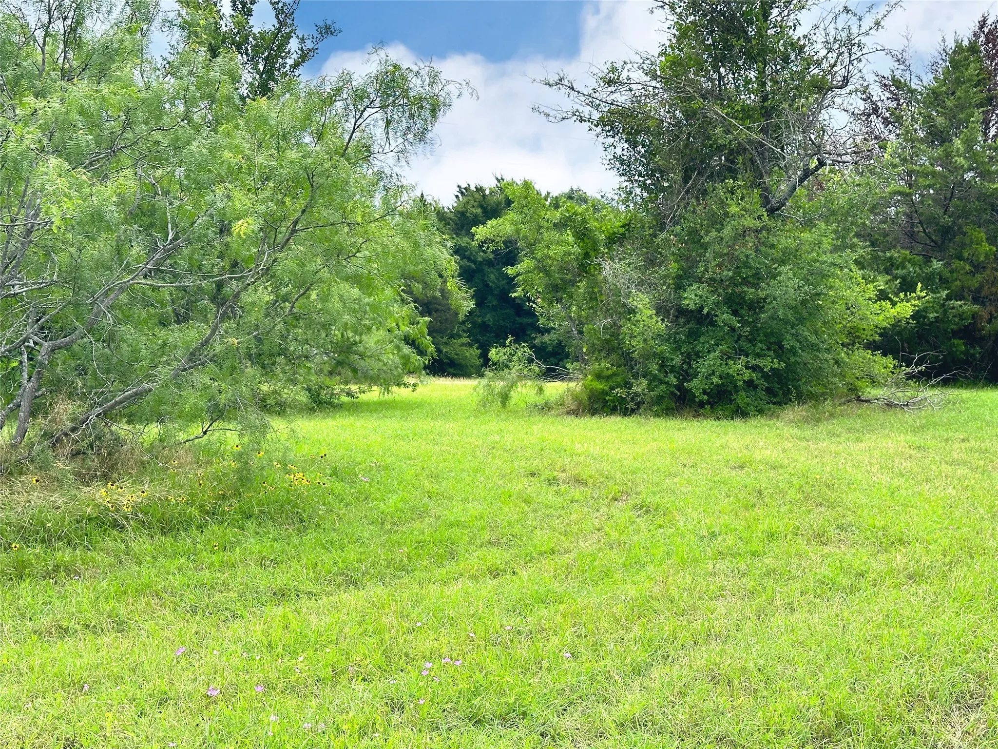 Unimproved Land For Sale in Navarro County , Lot 97 Fiddler Lane, Corsicana, Texas 75109, 0, 0, Garage spaces, 0 Sqft, built in 0, Price $45,900, mls#21164013, Real Estate Agent in Corsicana, Homes For Sale in Navarro county, Homes For Sale in Corsicana, Realtor in Corsicana Texas, Real Estate Brokerage Independent Realty Texas, Luminita Cordes Realtor