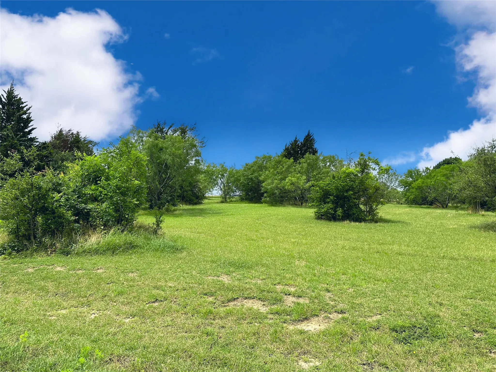 Unimproved Land For Sale in Navarro County , Lot 97 Fiddler Lane, Corsicana, Texas 75109, 0, 0, Garage spaces, 0 Sqft, built in 0, Price $45,900, mls#21164013, Real Estate Agent in Corsicana, Homes For Sale in Navarro county, Homes For Sale in Corsicana, Realtor in Corsicana Texas, Real Estate Brokerage Independent Realty Texas, Luminita Cordes Realtor