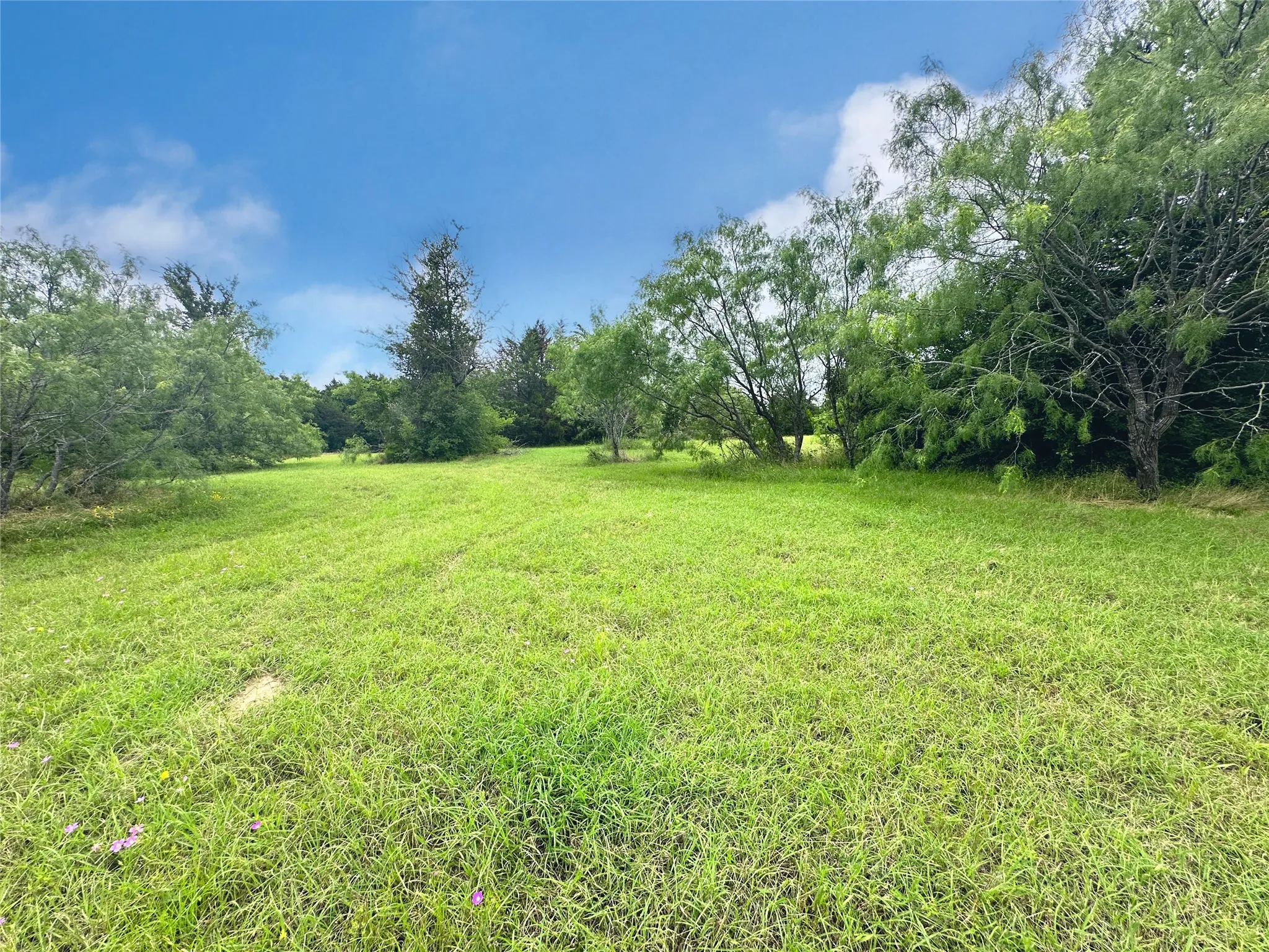 Unimproved Land For Sale in Navarro County , Lot 97 Fiddler Lane, Corsicana, Texas 75109, 0, 0, Garage spaces, 0 Sqft, built in 0, Price $45,900, mls#21164013, Real Estate Agent in Corsicana, Homes For Sale in Navarro county, Homes For Sale in Corsicana, Realtor in Corsicana Texas, Real Estate Brokerage Independent Realty Texas, Luminita Cordes Realtor