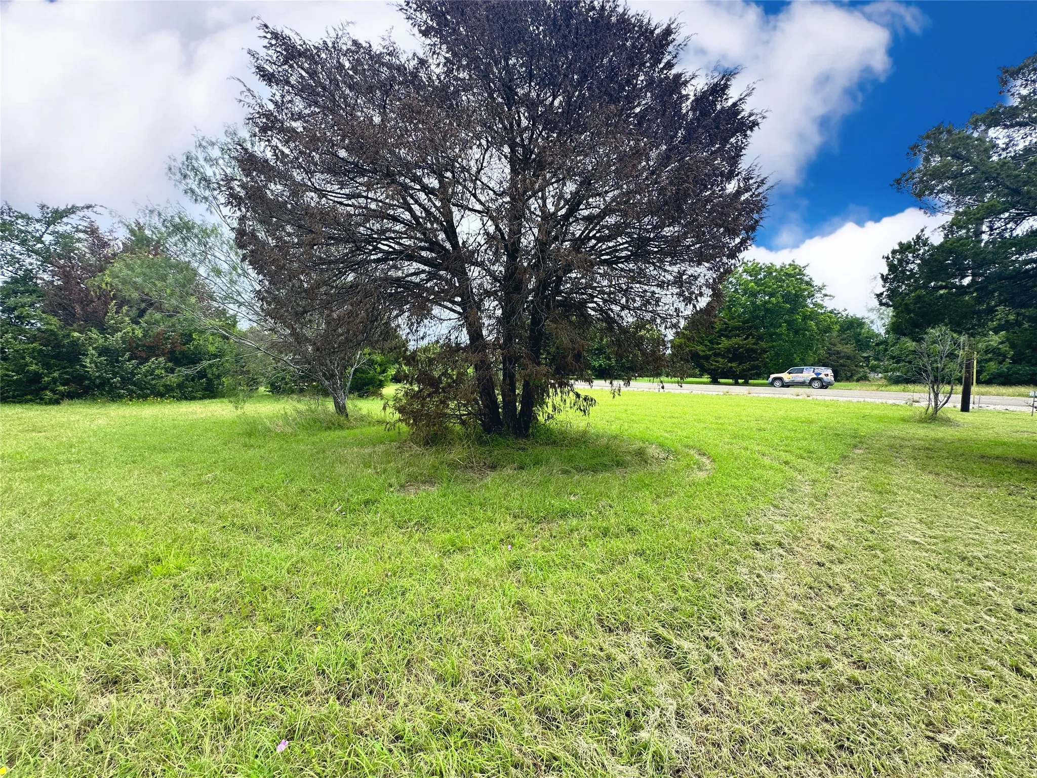 Unimproved Land For Sale in Navarro County , Lot 97 Fiddler Lane, Corsicana, Texas 75109, 0, 0, Garage spaces, 0 Sqft, built in 0, Price $45,900, mls#21164013, Real Estate Agent in Corsicana, Homes For Sale in Navarro county, Homes For Sale in Corsicana, Realtor in Corsicana Texas, Real Estate Brokerage Independent Realty Texas, Luminita Cordes Realtor