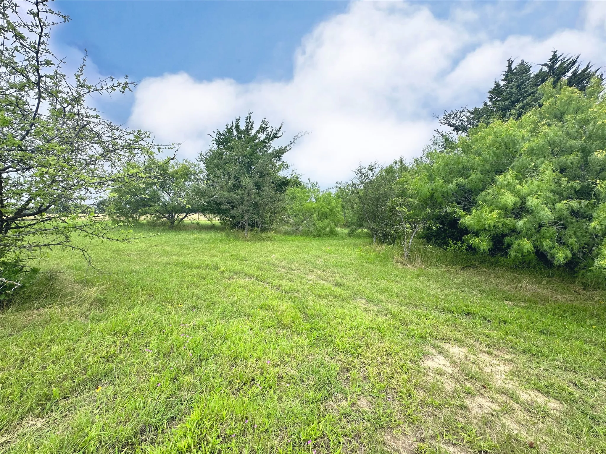 Unimproved Land For Sale in Navarro County , Lot 97 Fiddler Lane, Corsicana, Texas 75109, 0, 0, Garage spaces, 0 Sqft, built in 0, Price $45,900, mls#21164013, Real Estate Agent in Corsicana, Homes For Sale in Navarro county, Homes For Sale in Corsicana, Realtor in Corsicana Texas, Real Estate Brokerage Independent Realty Texas, Luminita Cordes Realtor