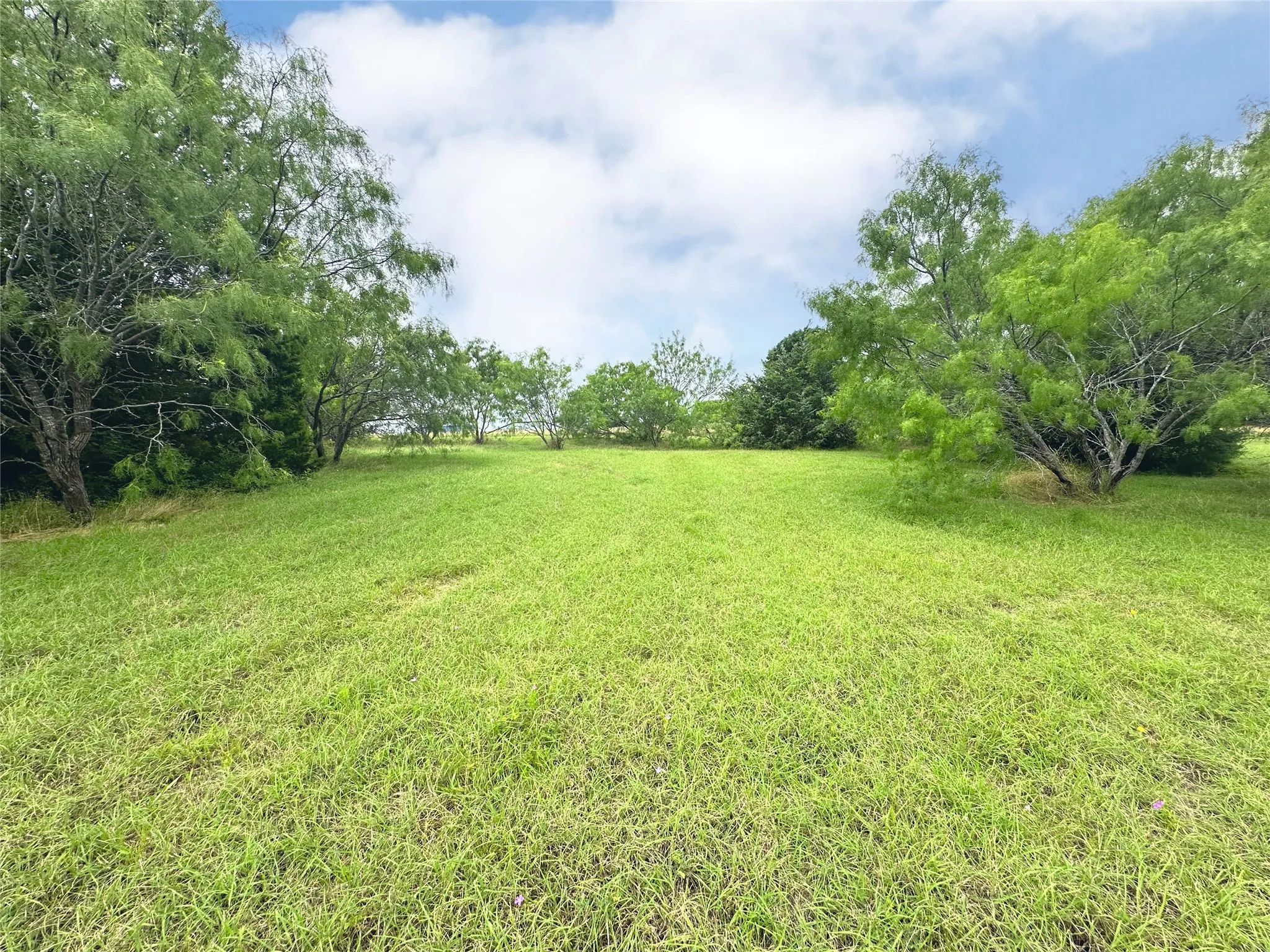 Unimproved Land For Sale in Navarro County , Lot 97 Fiddler Lane, Corsicana, Texas 75109, 0, 0, Garage spaces, 0 Sqft, built in 0, Price $45,900, mls#21164013, Real Estate Agent in Corsicana, Homes For Sale in Navarro county, Homes For Sale in Corsicana, Realtor in Corsicana Texas, Real Estate Brokerage Independent Realty Texas, Luminita Cordes Realtor