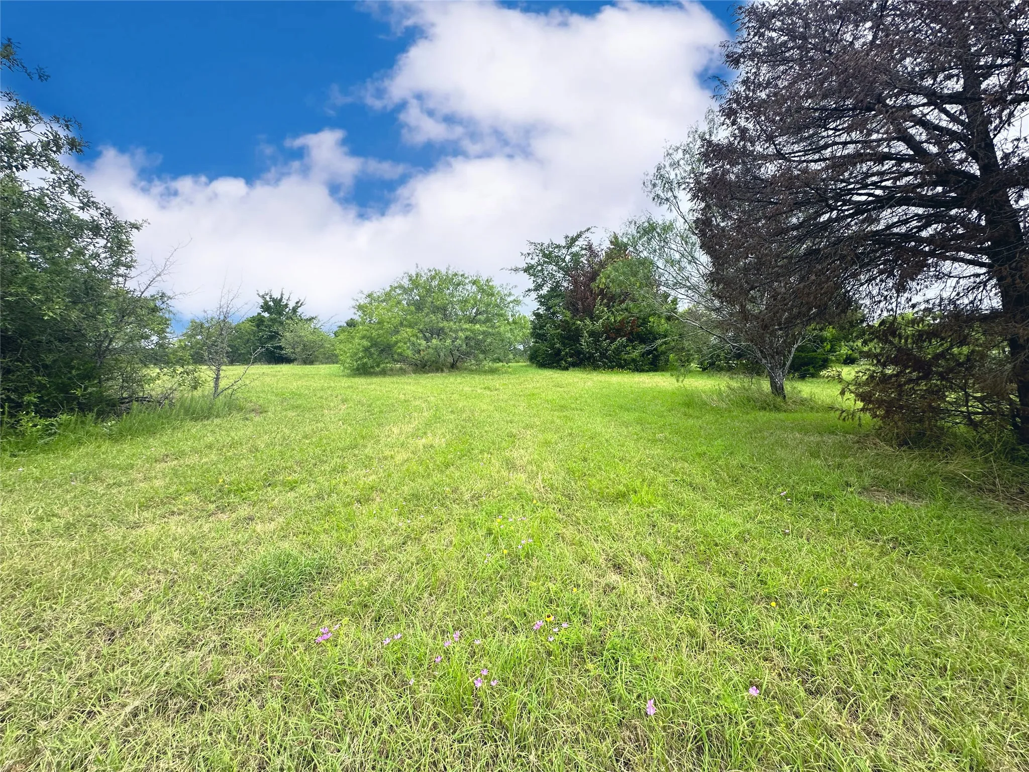 Unimproved Land For Sale in Navarro County , Lot 97 Fiddler Lane, Corsicana, Texas 75109, 0, 0, Garage spaces, 0 Sqft, built in 0, Price $45,900, mls#21164013, Real Estate Agent in Corsicana, Homes For Sale in Navarro county, Homes For Sale in Corsicana, Realtor in Corsicana Texas, Real Estate Brokerage Independent Realty Texas, Luminita Cordes Realtor
