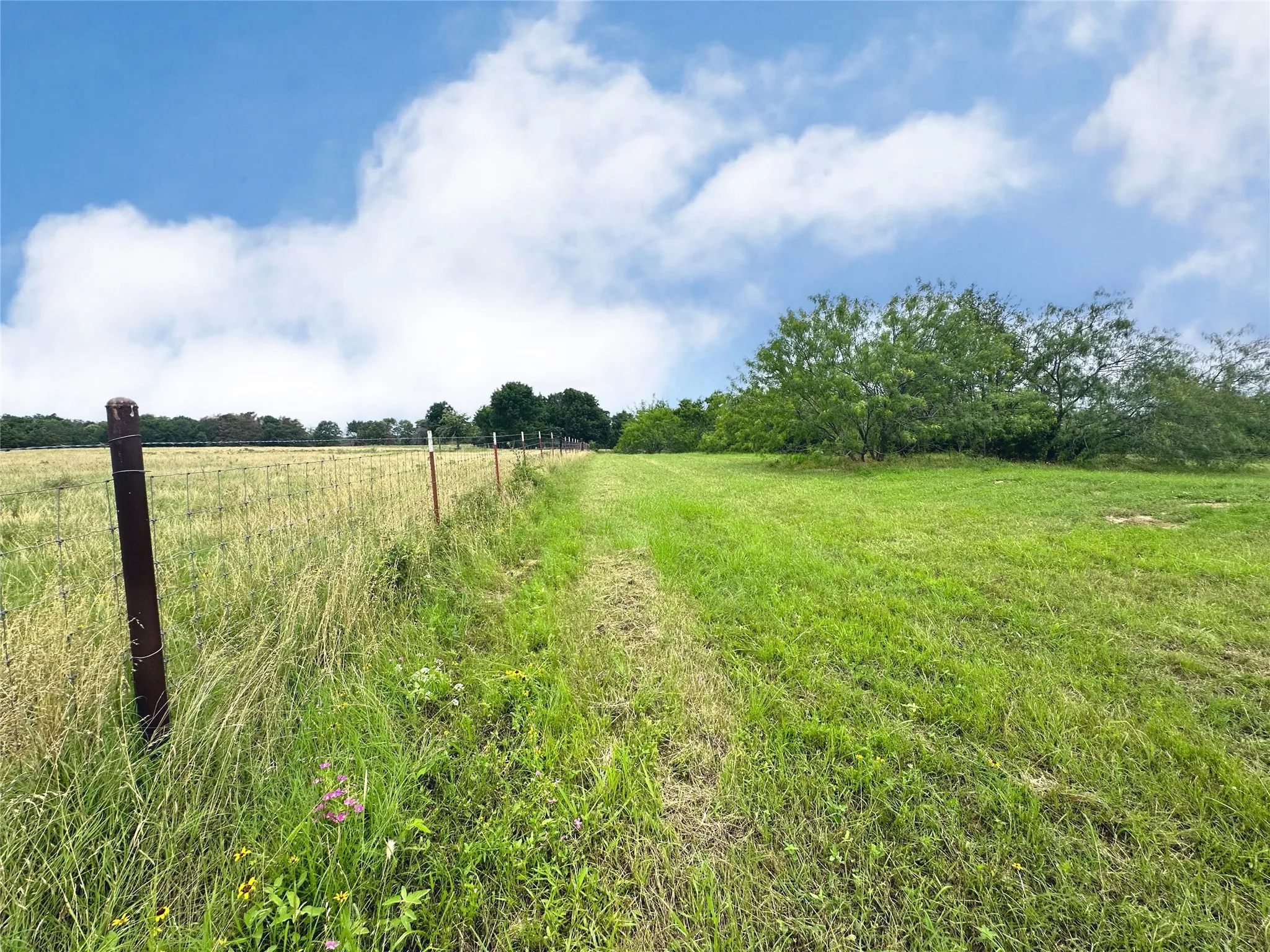 Unimproved Land For Sale in Navarro County , Lot 97 Fiddler Lane, Corsicana, Texas 75109, 0, 0, Garage spaces, 0 Sqft, built in 0, Price $45,900, mls#21164013, Real Estate Agent in Corsicana, Homes For Sale in Navarro county, Homes For Sale in Corsicana, Realtor in Corsicana Texas, Real Estate Brokerage Independent Realty Texas, Luminita Cordes Realtor