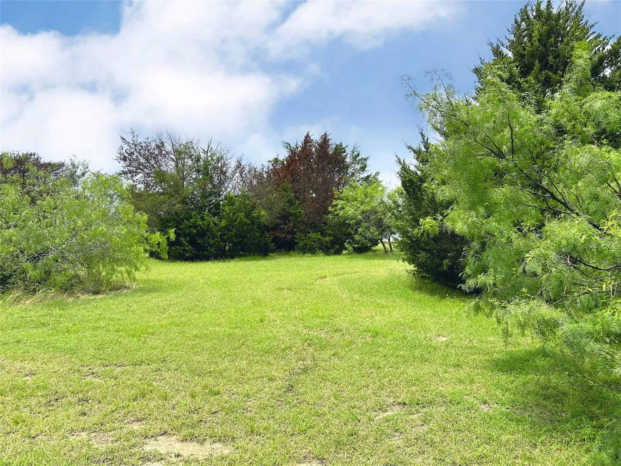 Unimproved Land For Sale in Navarro County , Lot 97 Fiddler Lane, Corsicana, Texas 75109, 0, 0, Garage spaces, 0 Sqft, built in 0, Price $45,900, mls#21164013, Real Estate Agent in Corsicana, Homes For Sale in Navarro county, Homes For Sale in Corsicana, Realtor in Corsicana Texas, Real Estate Brokerage Independent Realty Texas, Luminita Cordes Realtor