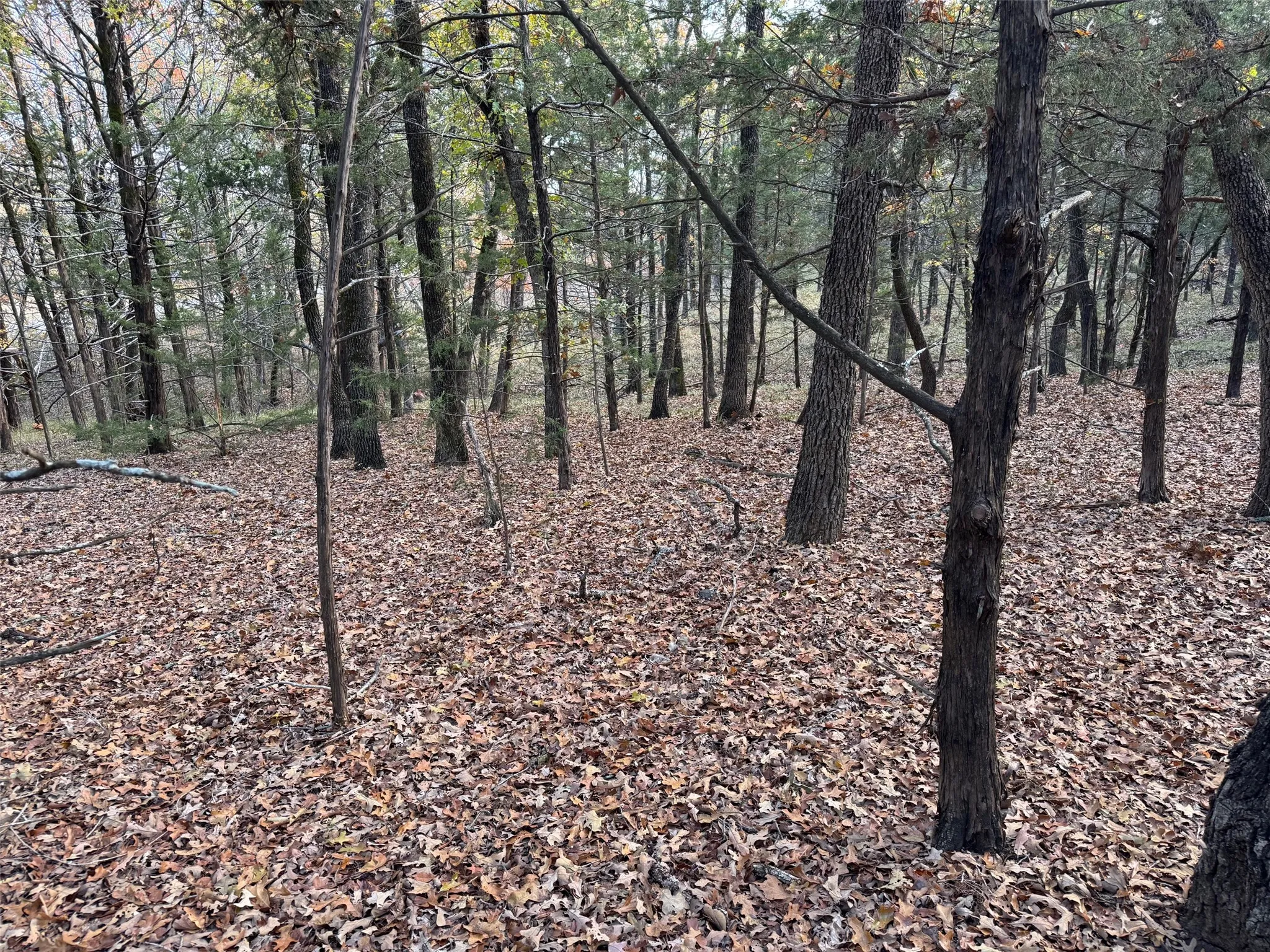 Unimproved Land For Sale in Grayson County , Lot 15B Forest Lakes Drive, Gordonville, Texas 76245, 0, 0, Garage spaces, 0 Sqft, built in 0, mls#21171447, Real Estate Agent in Gordonville, Homes For Sale in Grayson county, Homes For Sale in Gordonville, Realtor in Gordonville Texas, Real Estate Brokerage Independent Realty Texas, Luminita Cordes Realtor